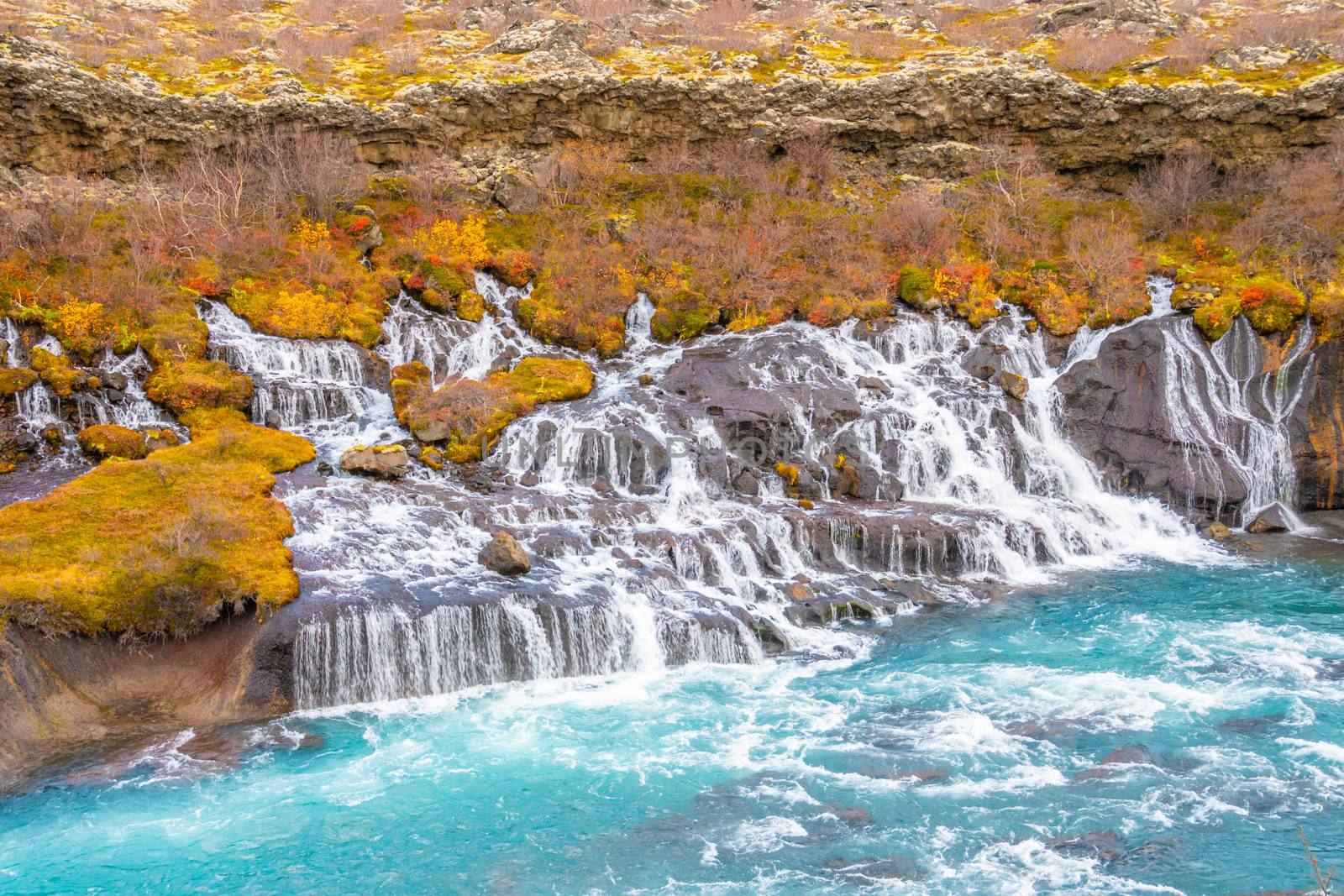 Hraunfossar series of waterfalls barnafoss turquoise groundwater collecting into plunge pool during autumn by MXW_Stock