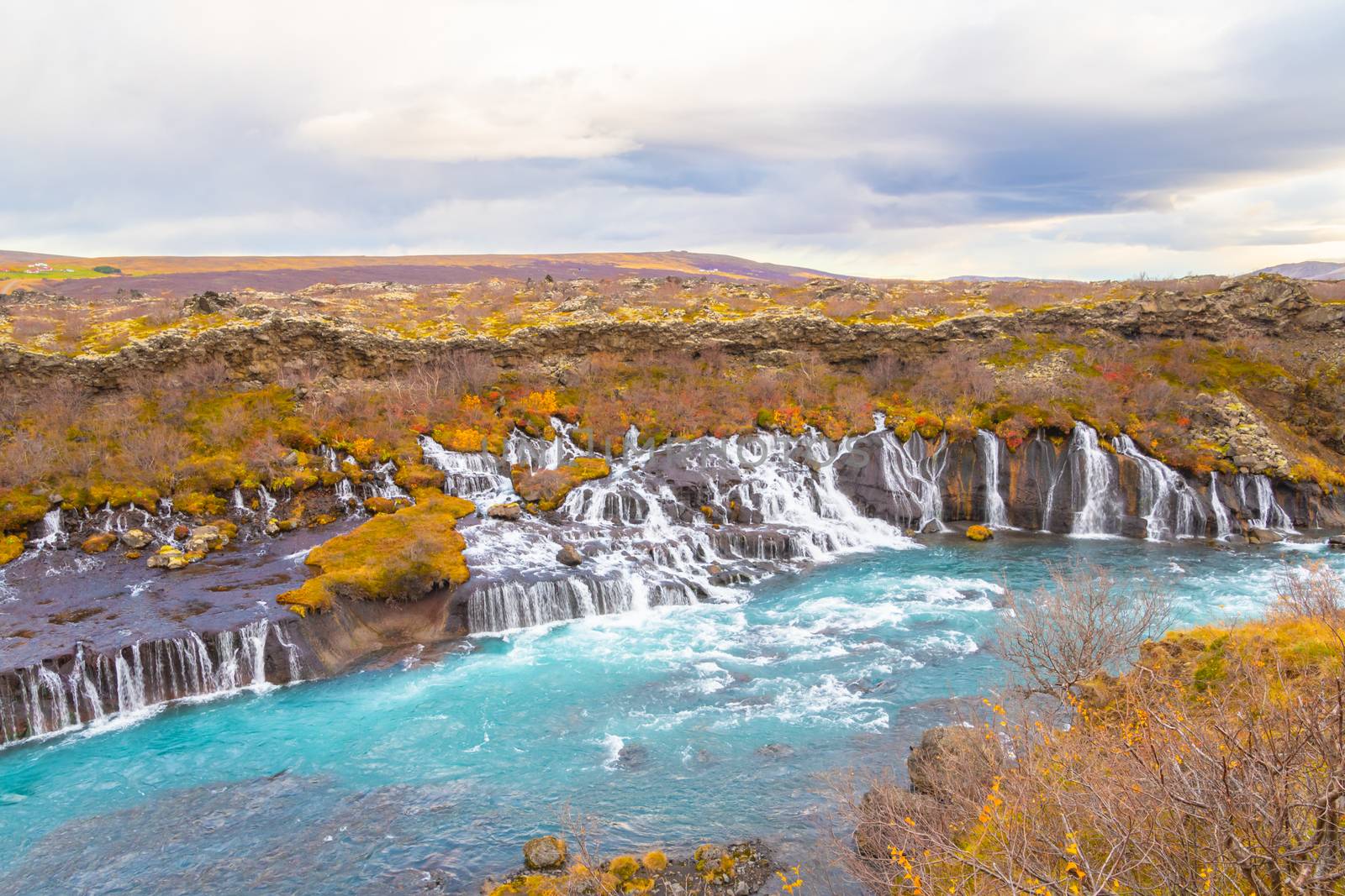 Hraunfossar series of waterfalls barnafoss turquoise water collecting into plunge pool during autumn by MXW_Stock