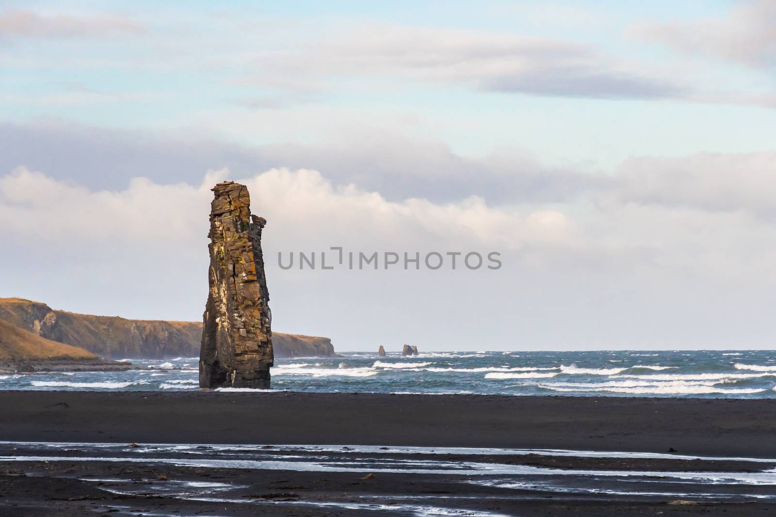 Hvitserkur rock formation in Iceland basalt formation standing in front of black beach and high cliffs by MXW_Stock