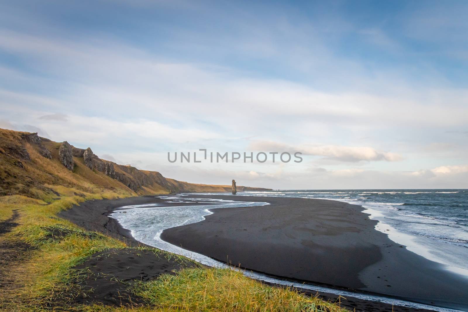 Hvitserkur rock formation in Iceland volcanic column standing along black beach and overgrown huge cliffs