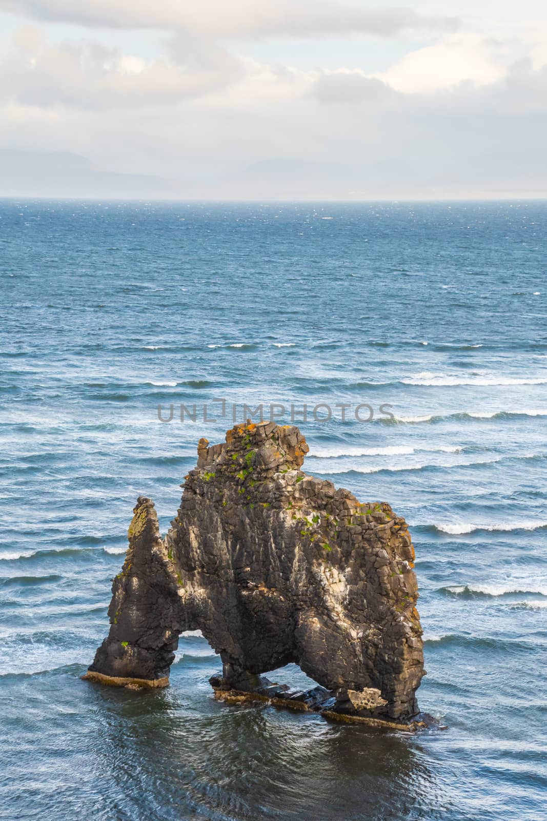 Hvitserkur rock formation in Iceland standing out of the Atlantic Ocean by MXW_Stock