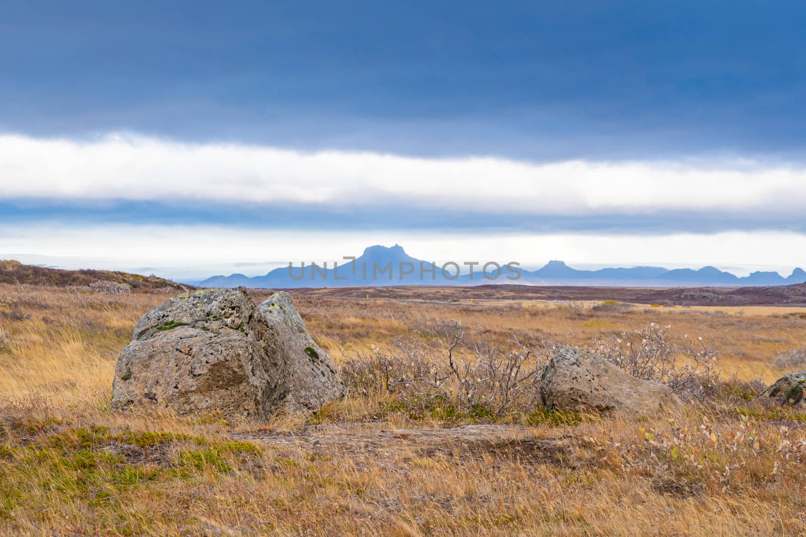 Langjokull Glacier view from Gullfoss over rock and grass land towards the white ice giant by MXW_Stock
