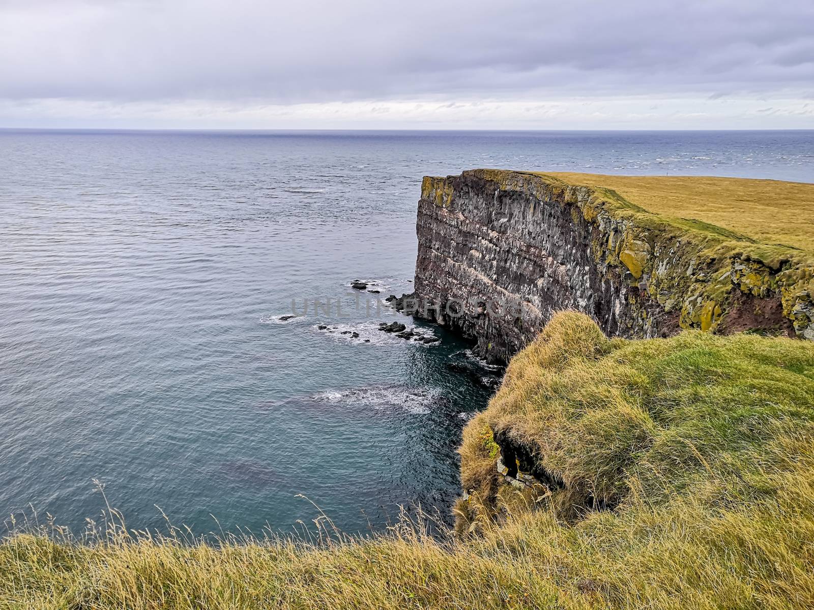 Latrabjarg in Iceland cliff coast an nesting place of millions of Atlantic puffins during autumn by MXW_Stock