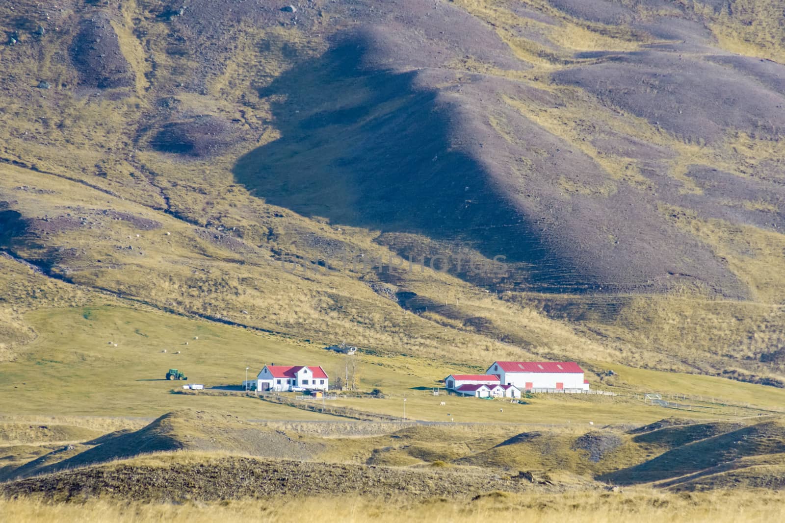 Northern Iceland farm based at the foot of a mountain slope during sunshine weather
