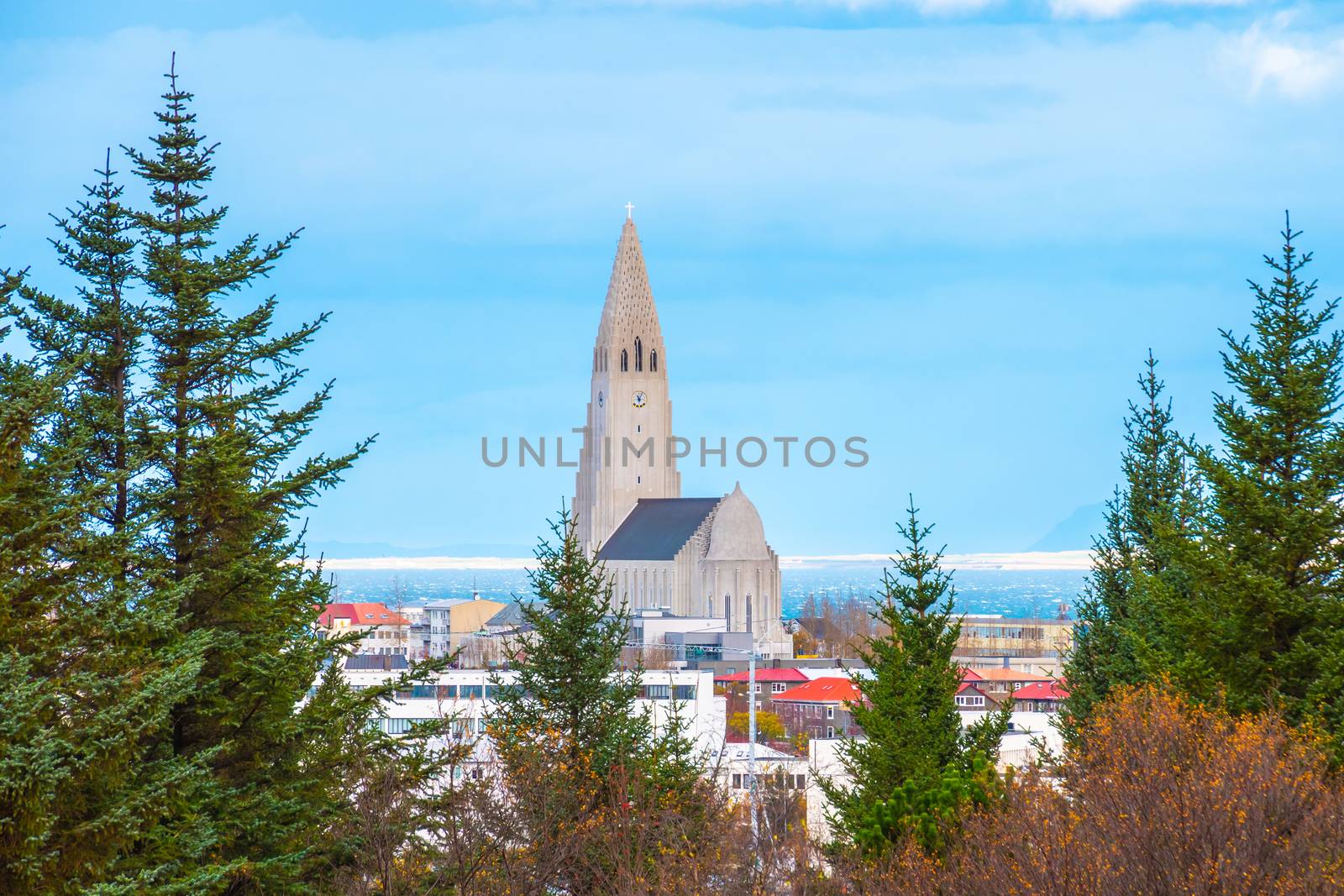 Reykjavik in Iceland Hallgrimskirche Hallgrims church in center of town