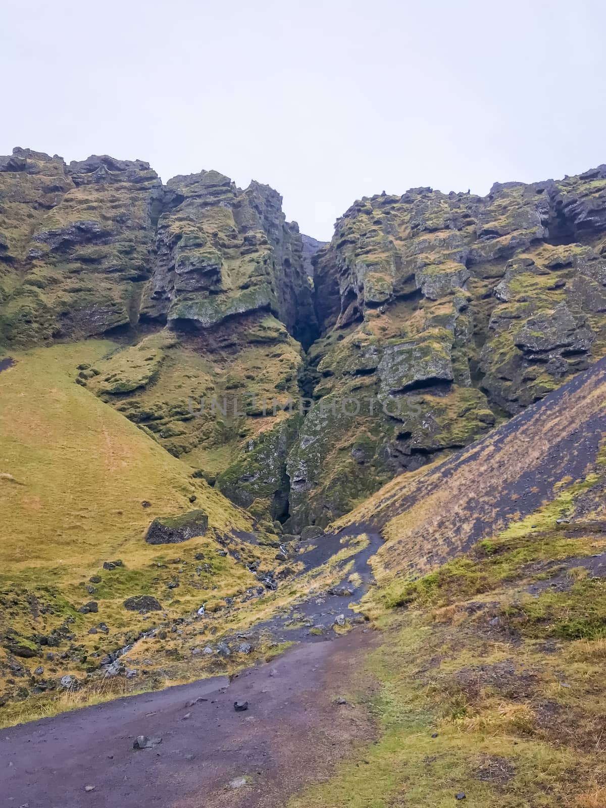 Snaefellsness national park in Iceland Raudfeldsgja gorge deep crack in mountain by MXW_Stock