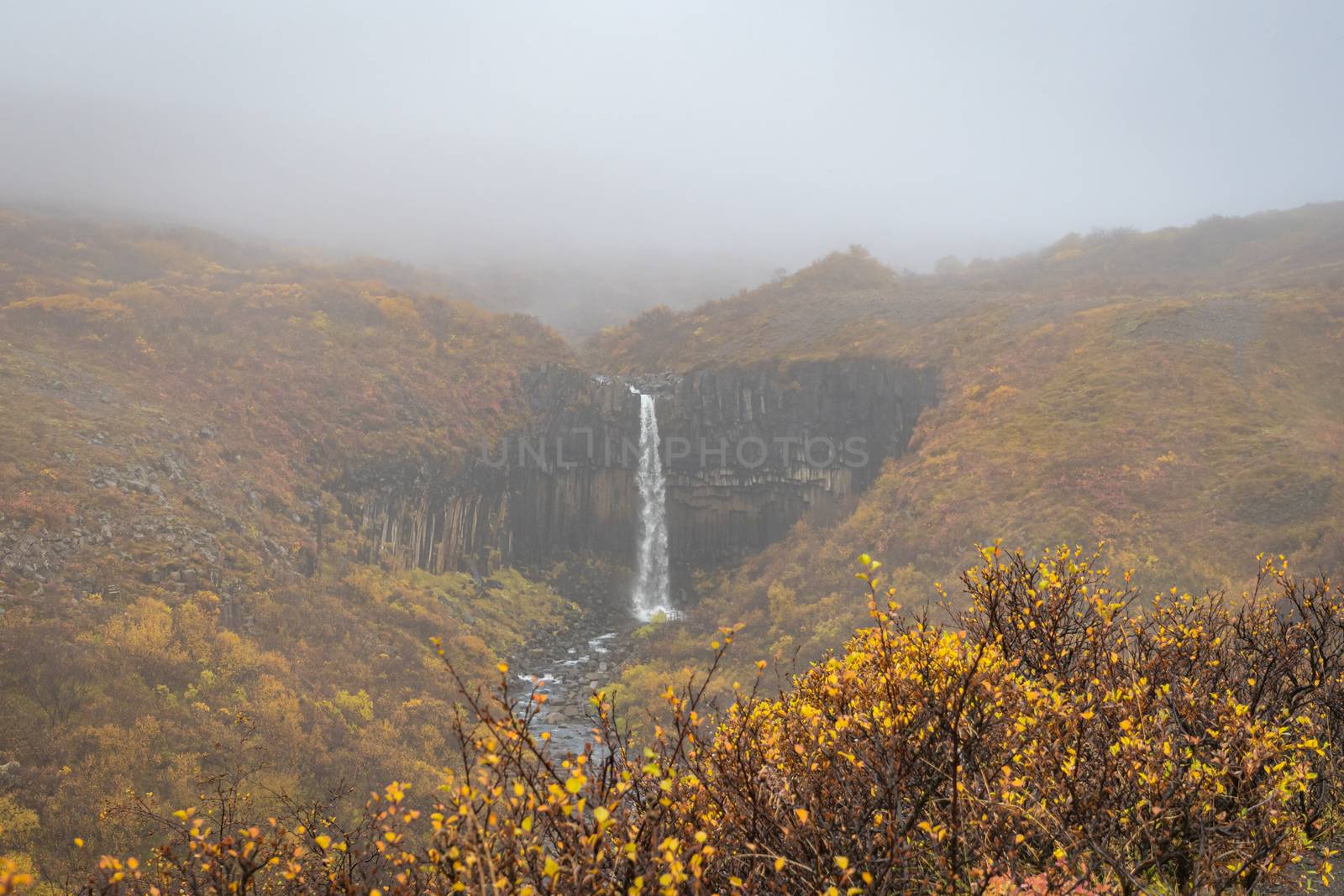 Svartifoss waterfall black basalt columns between autumn colored landscape in clouds