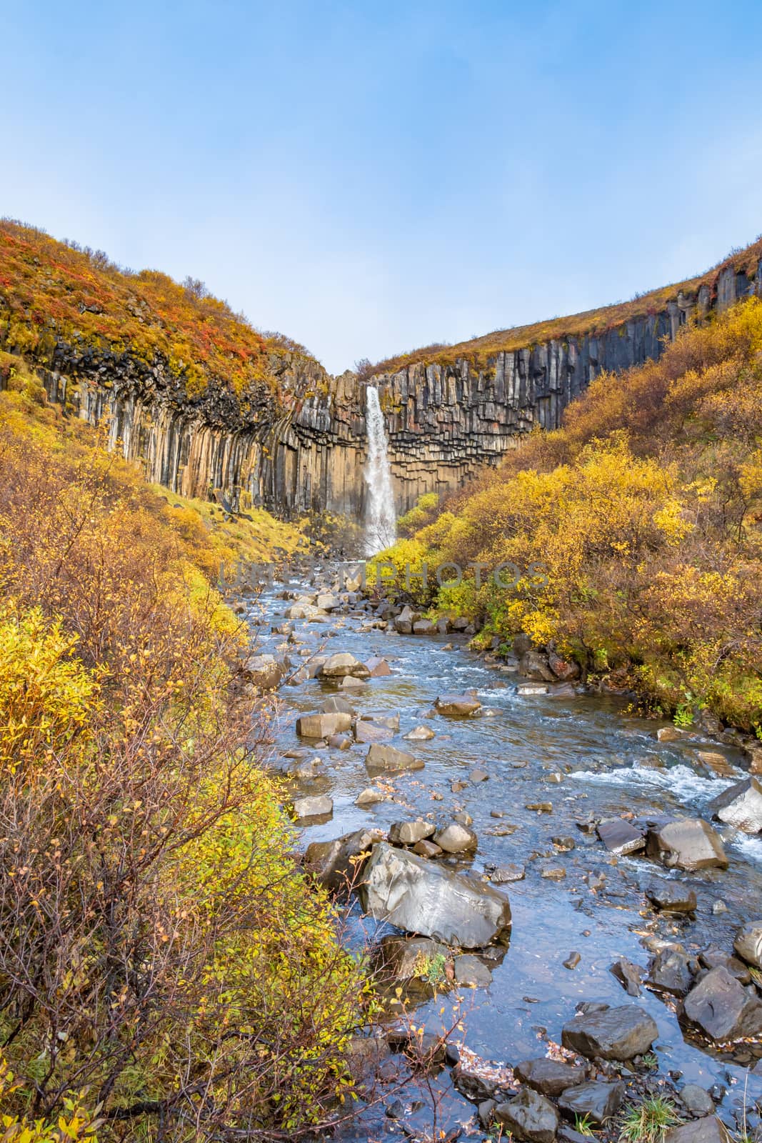 Svartifoss waterfall black basalt columns between autumn colored landscape creating beautiful river