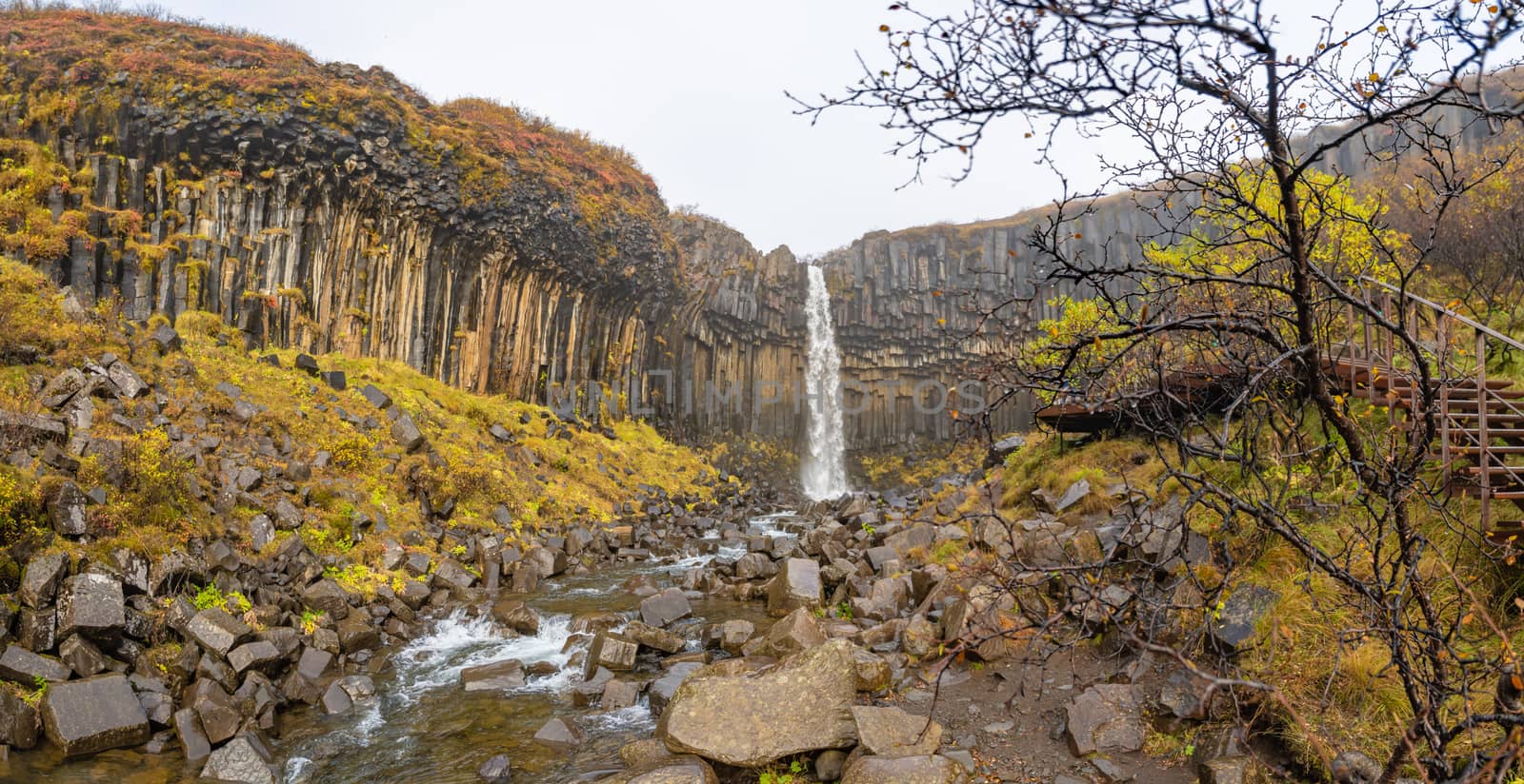 Svartifoss waterfall black basalt columns between autumn colored landscape panorama by MXW_Stock