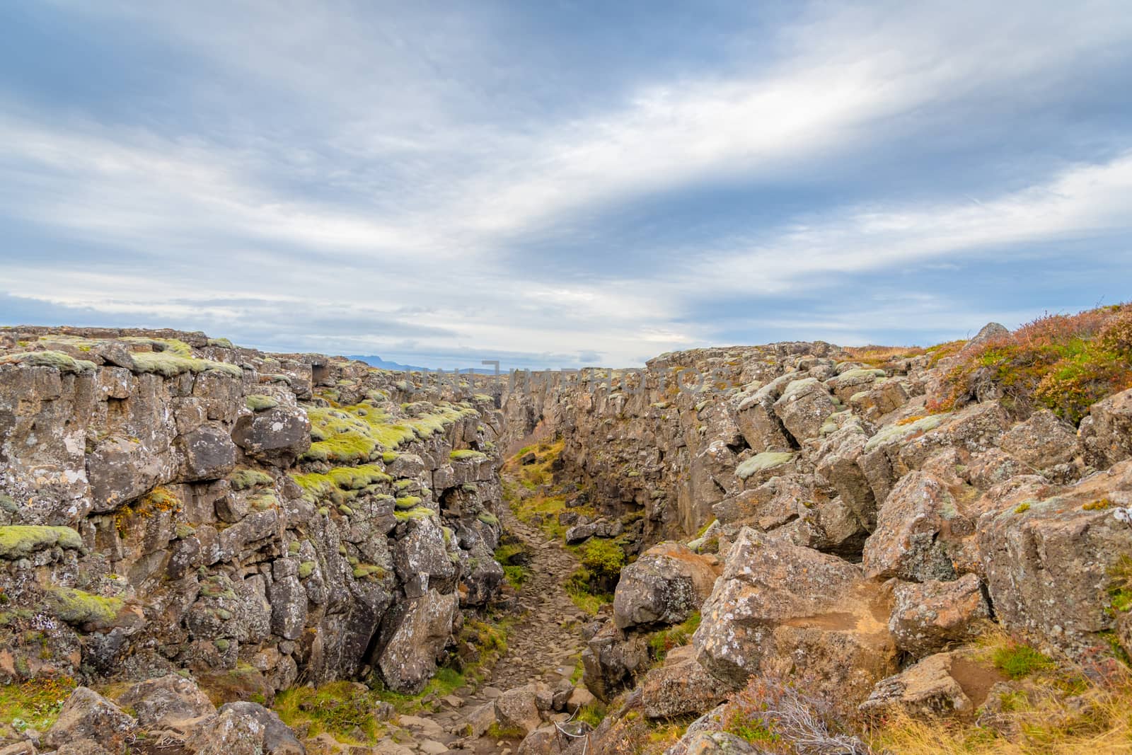 Thingvellir National Park in Iceland canyon cutting through the cold landscape