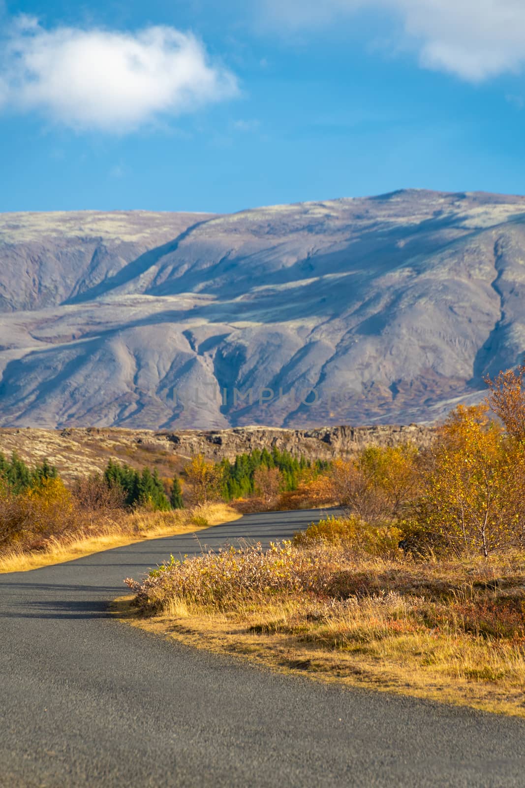 Thingvellir National Park in Iceland road leading through scenic nature