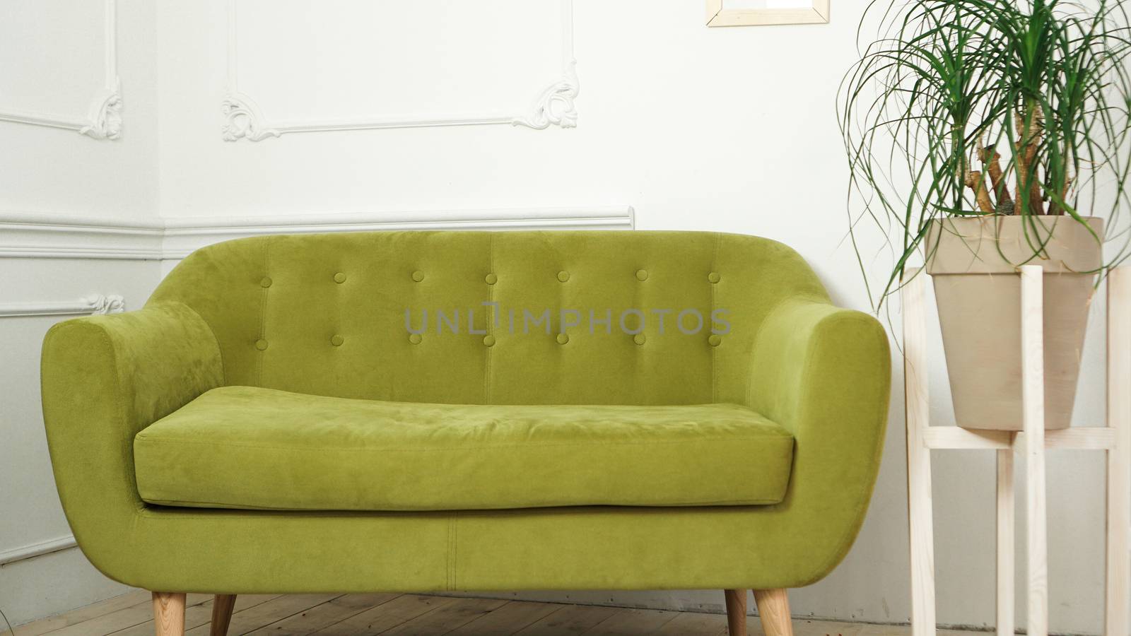 Home interior with new green sofa by natali_brill
