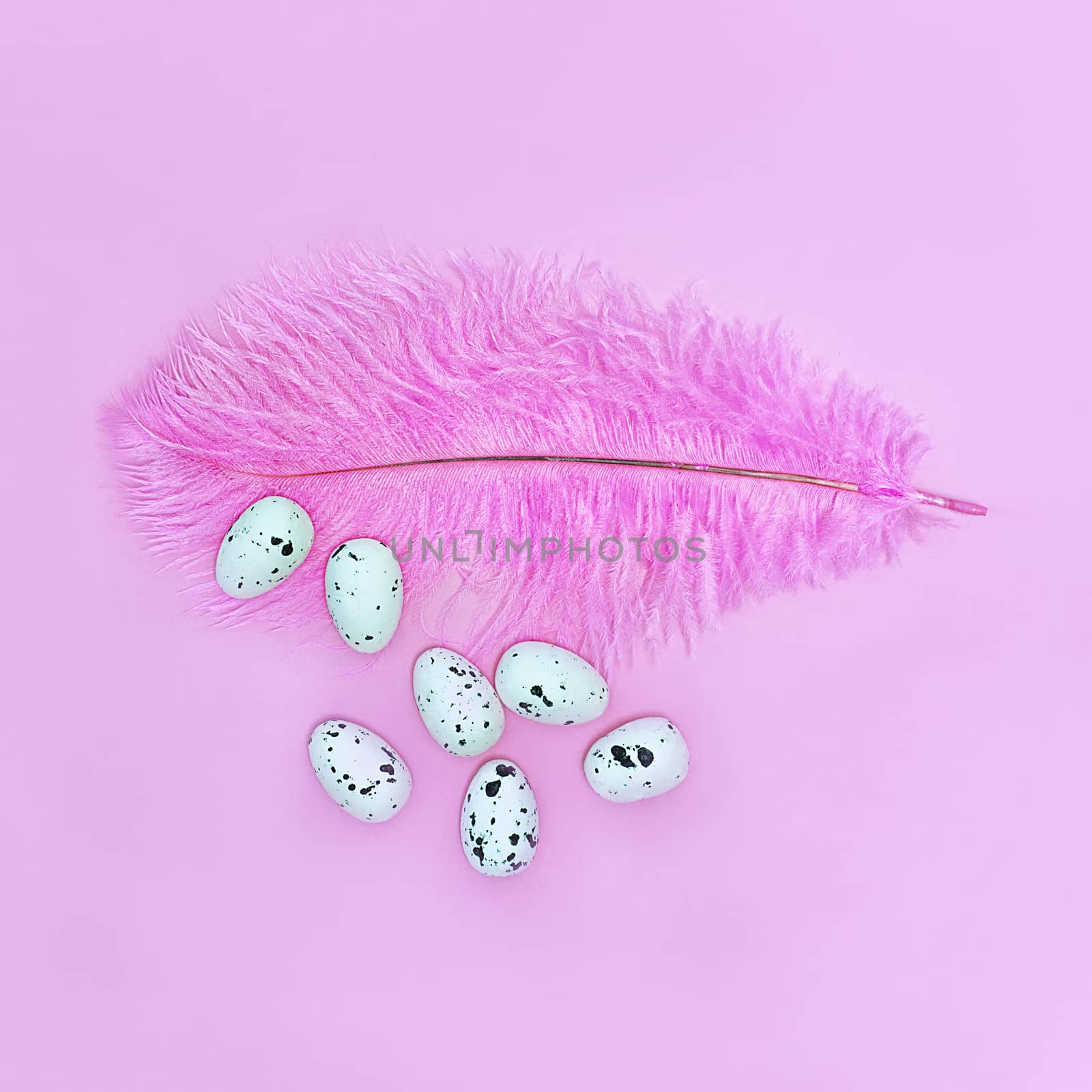 Eggs on a pink feather on a pink background. Easter concept