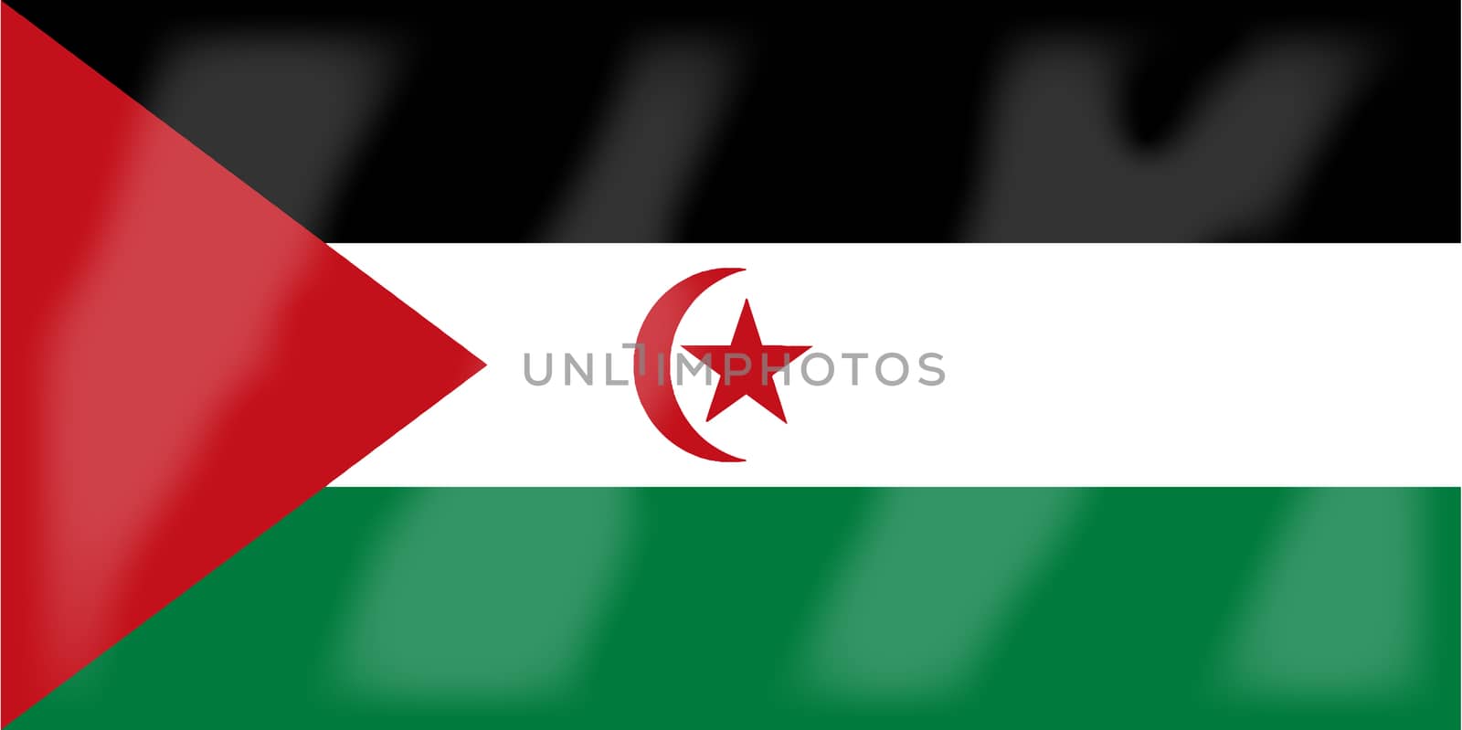 The flag of the African country Western Sahara