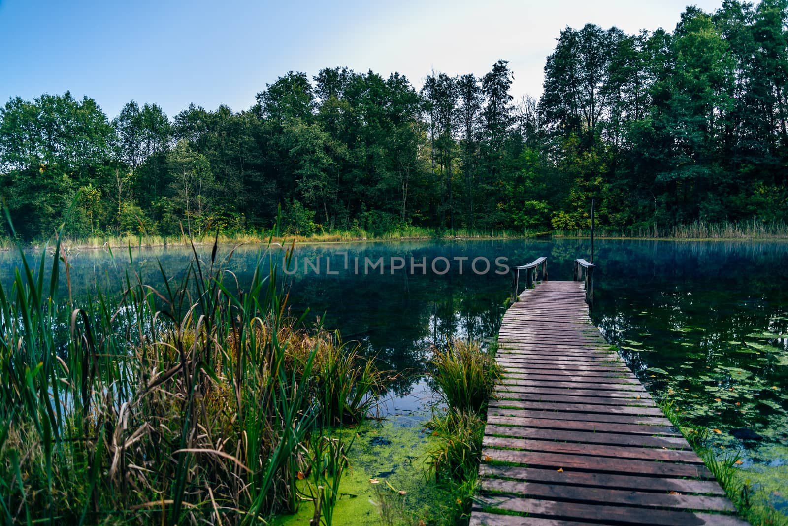 Old wooden pier on blue forest lake