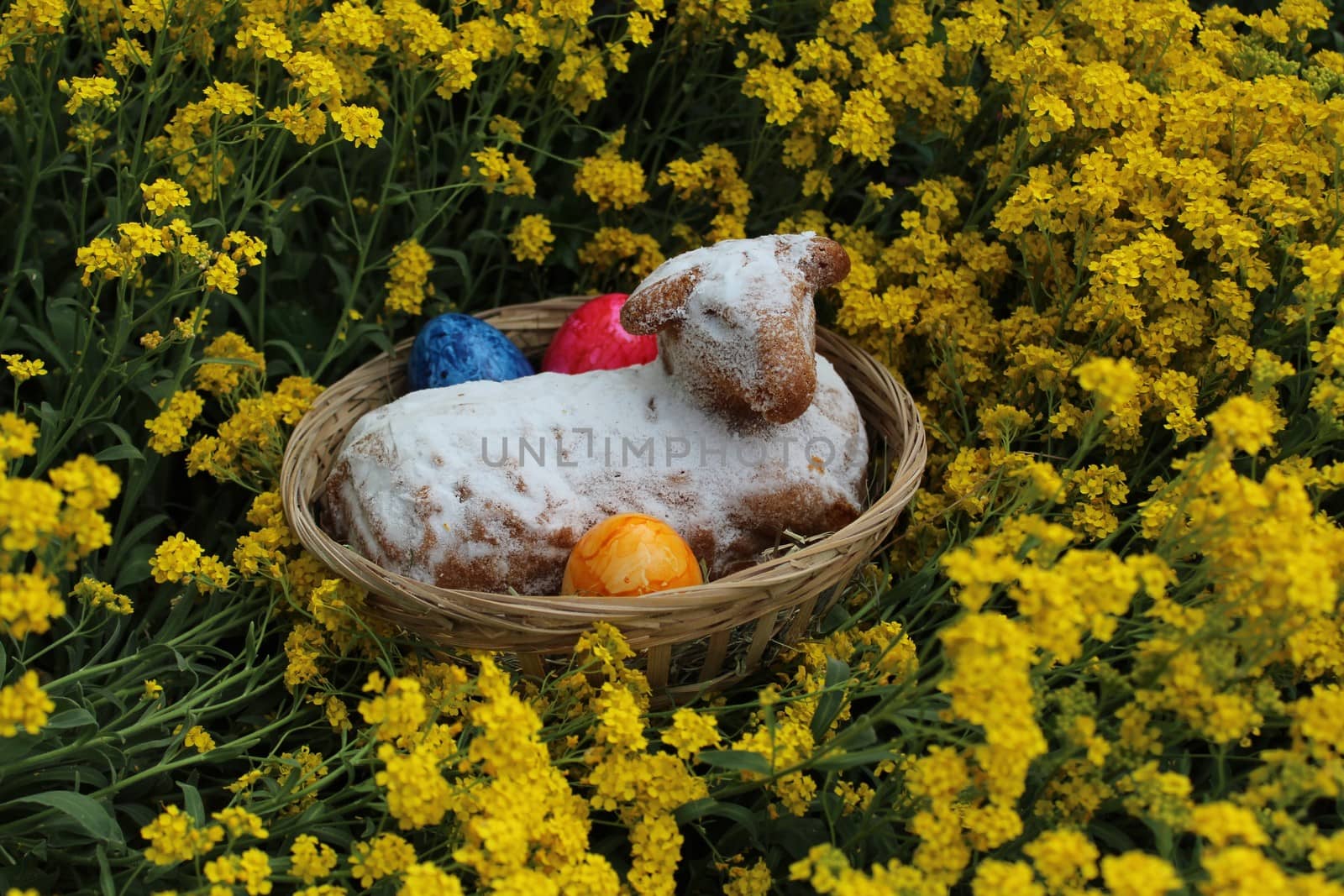 easter lamb and eastereggs in sweet alyssum by martina_unbehauen