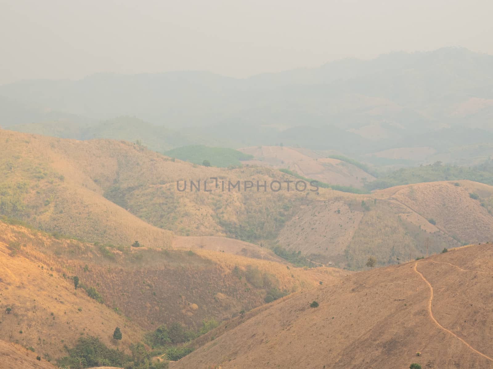 Smog caused by forest fires and burns in agricultural areas makes the weather in the northern region of Thailand full of small dust pm 2.5.