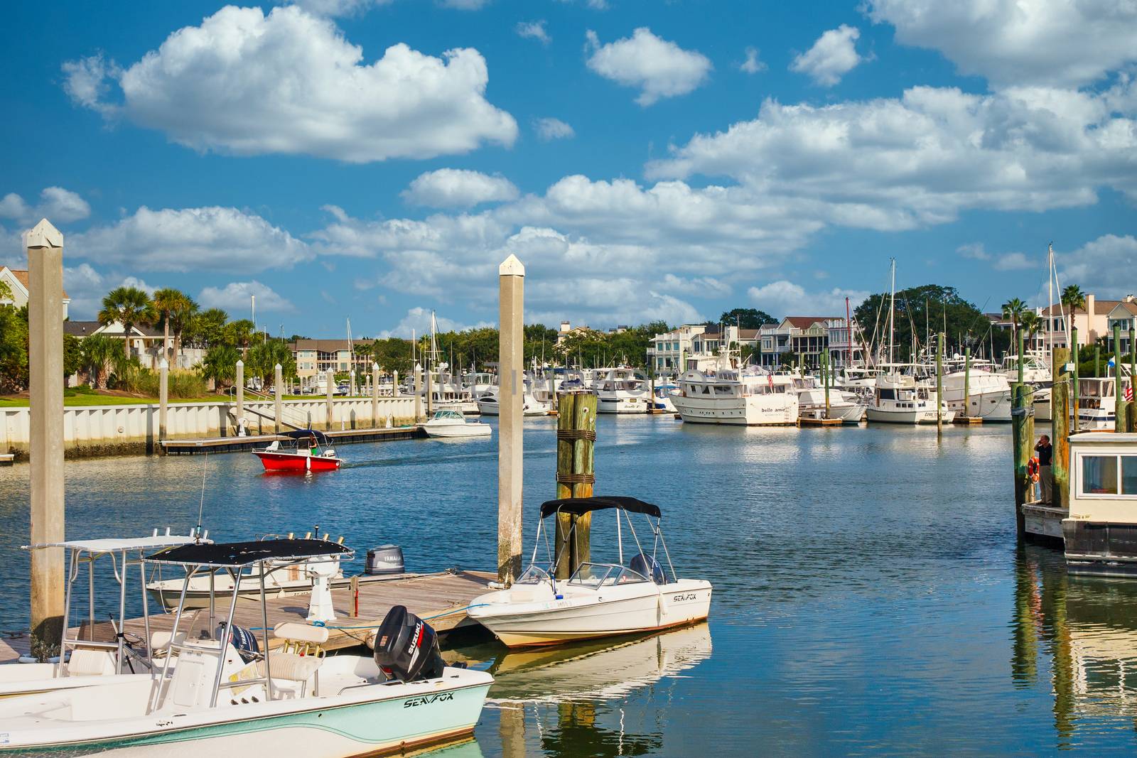 A harbor on the South Carolina coast with many small fishing boats