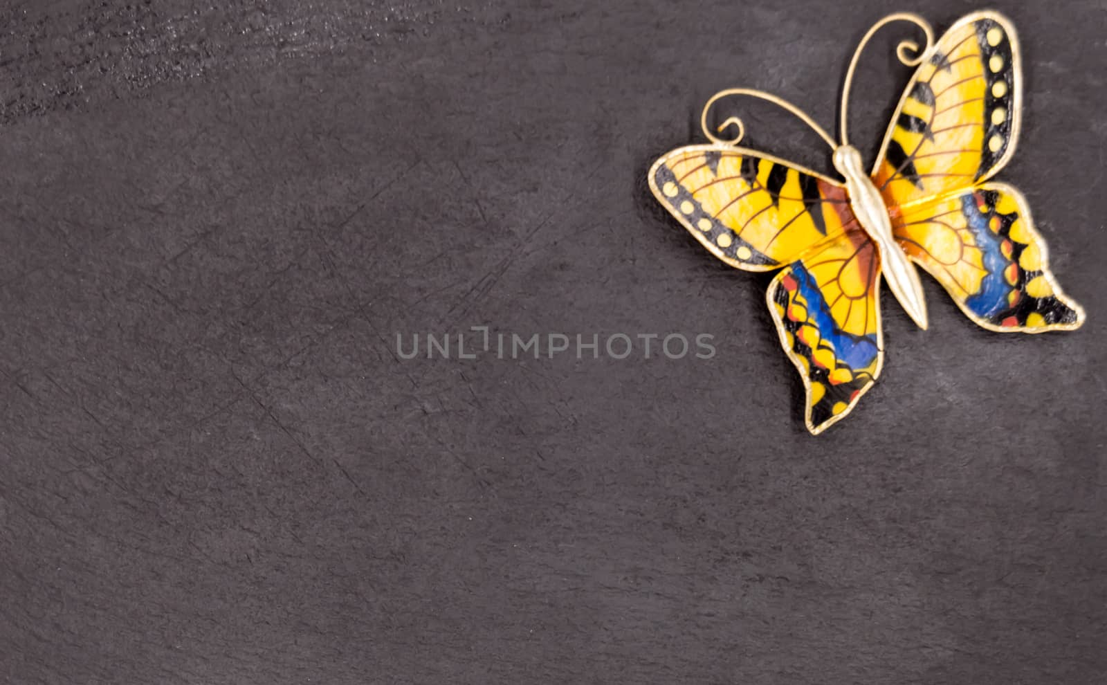 A butterfly on a black slate background place in the right corner