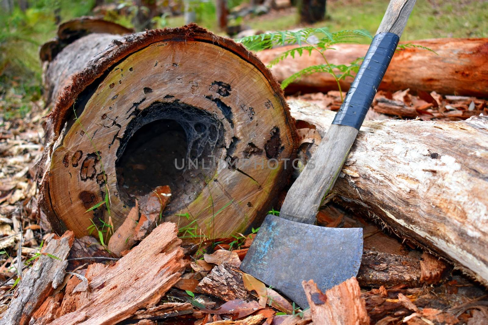 An axe next to a hollow log