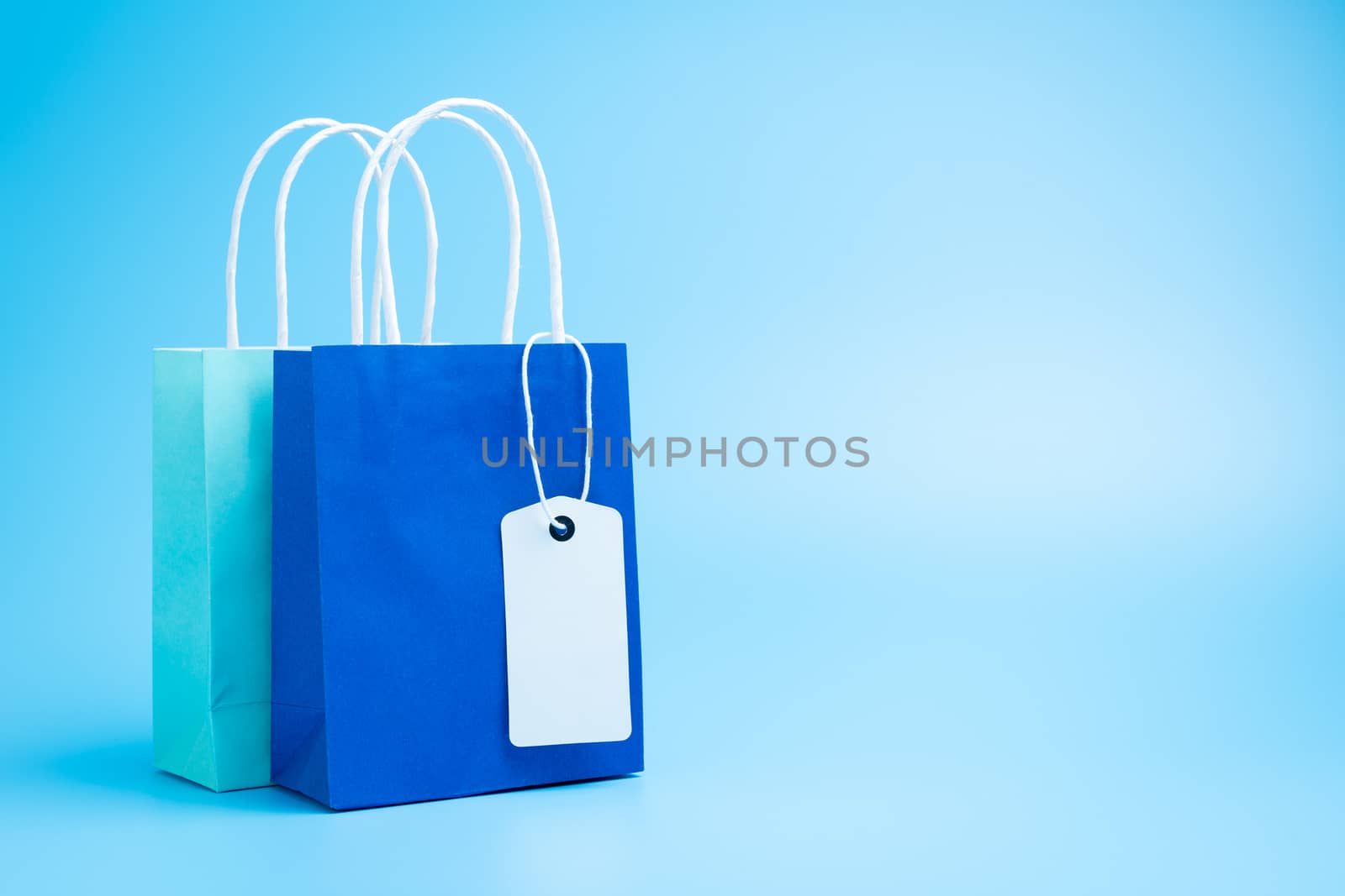 Two blue shopping or gift bags with blank label tag isolated on blue background