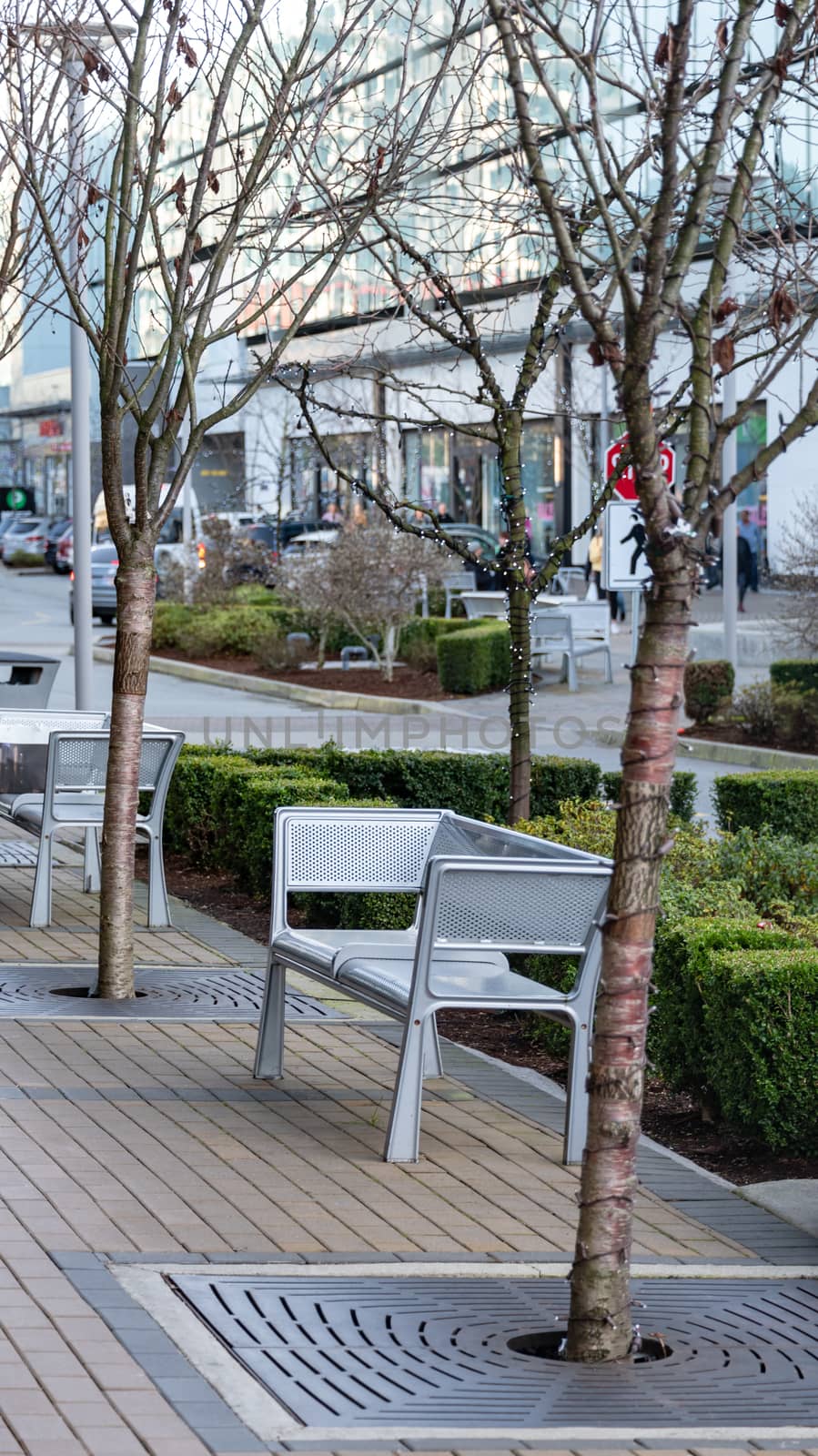 Paved walkway in a city with metal bench and highlighted trees on side.