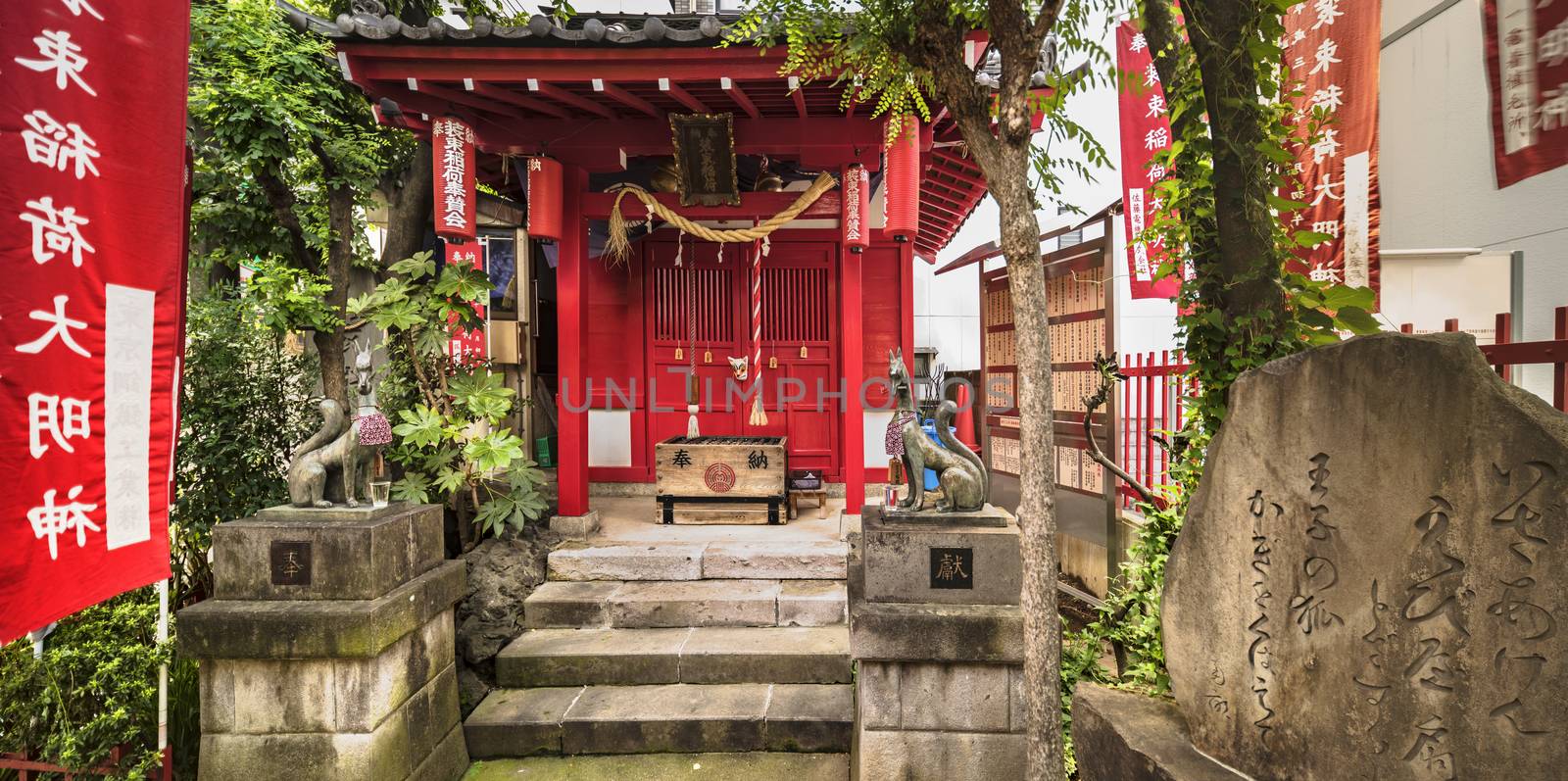 Small Shinto Santuary dedicated to the Uga-no-Mitama divinity meaning "the spirit of the rice in storehouses" which is associated with food and agriculture and which is often represented in the form of the fox Inari the divinity of rice. Located in the city of Oji in the district of Kita north of Tokyo, this place once owned a tree Enoki Celtis sinensis Micocoulier which stood in the middle of the rice fields. On New Year's Eve, foxes from all over the region gathered here and there were signs of will-o'-the-wisps, which made the superstitious peasants count their numbers and used that to predict a good or bad harvest for next year. The two foxes sit on a stone pedestal or two signifying ideograms offering "Houken" are inscribed on both sides. At the top of the steps is a box to collect the donators' coins where the word offering "Hounou" is inscribed with a stylized symbol of rice shoots and a fox head at its center. On the red lantern and above the door are inscribed the name of Shozoku Inari Shrine. This scene is represented in the series of prints "One Hundred Famous Views of Edo" by Utagawa Hiroshige.