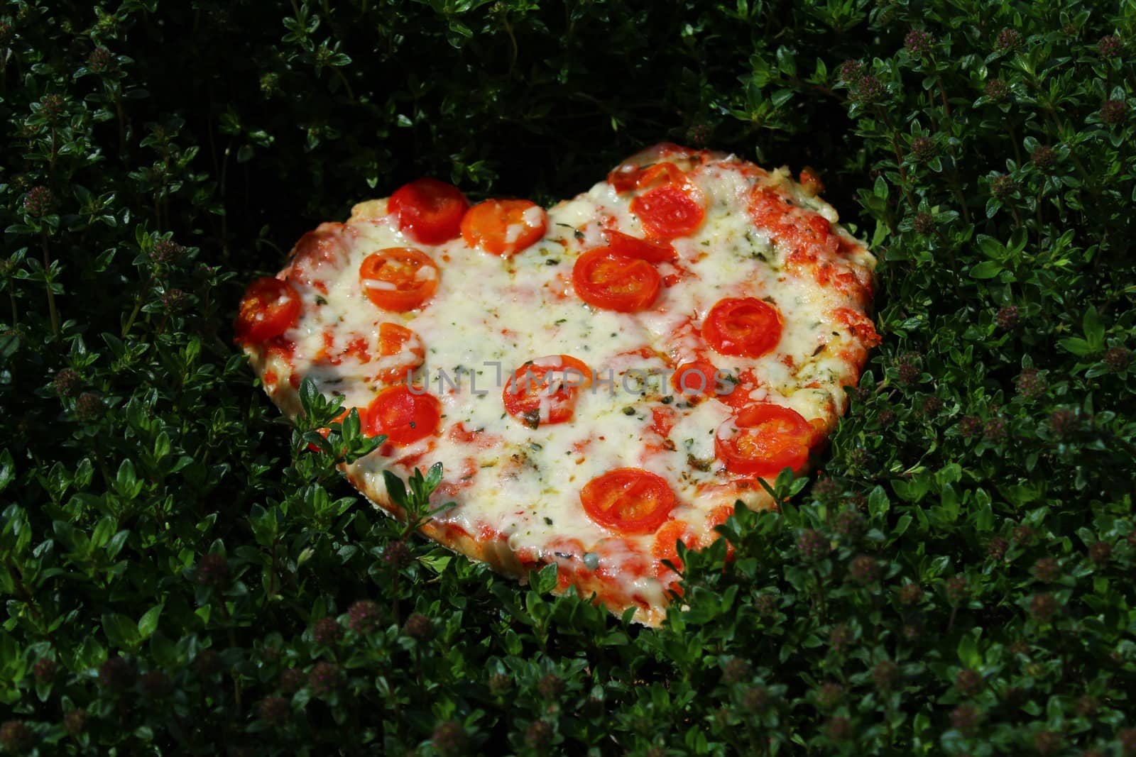 heart pizza in a thyme field by martina_unbehauen