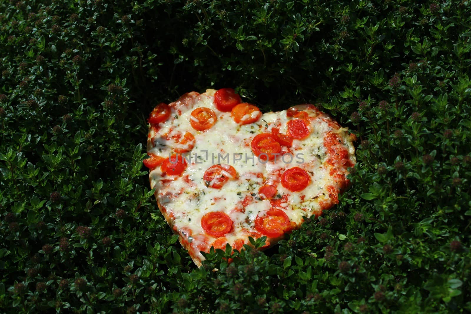 heart pizza in a thyme field by martina_unbehauen