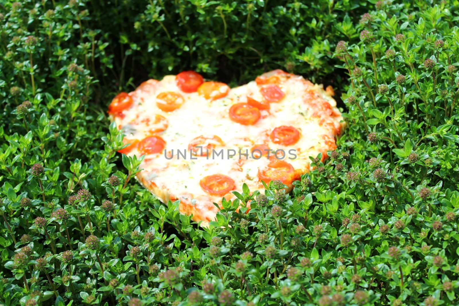 heart pizza in a thyme field by martina_unbehauen