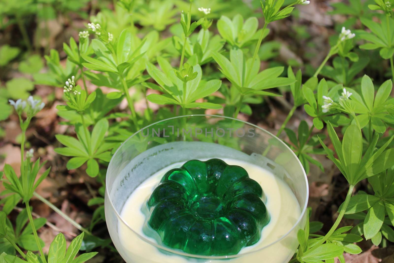 The picture shows a woodruff dessert in a woodruff field