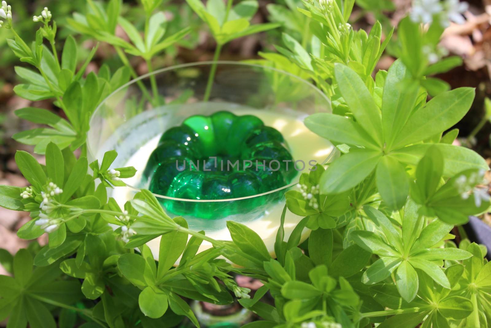 The picture shows a woodruff dessert in a woodruff field