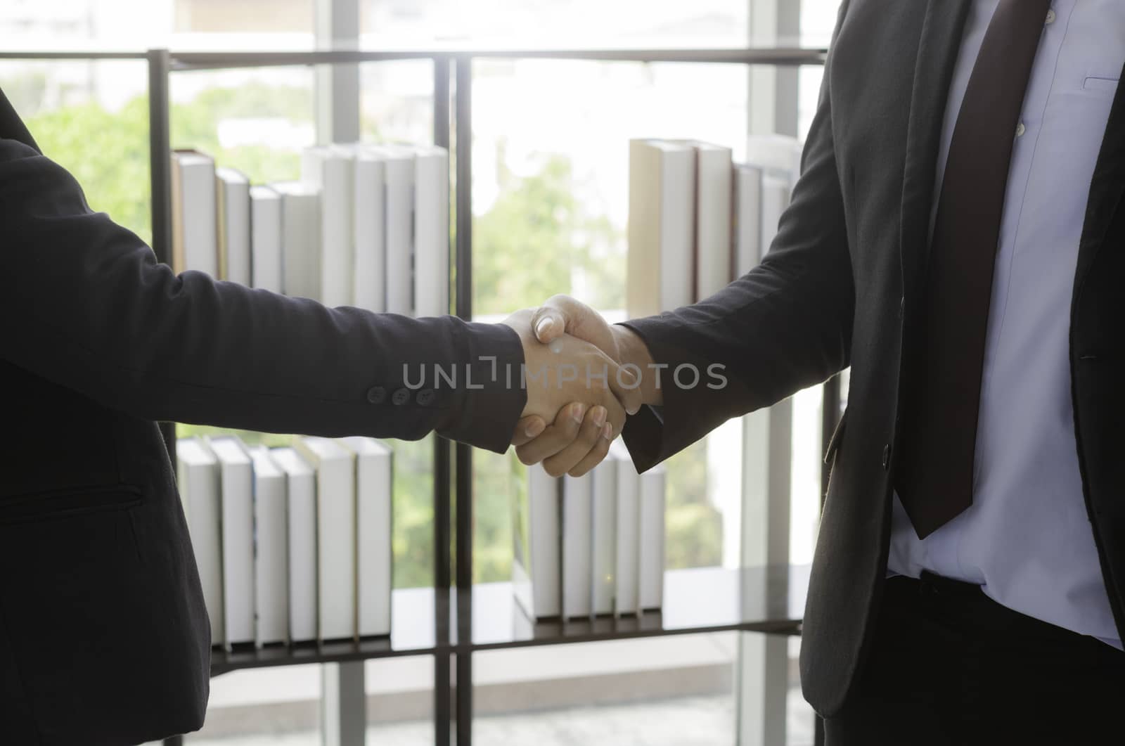 Two young businessmen shaking hands to celebrate in the office success with a turnover that exceeds corporate goals.