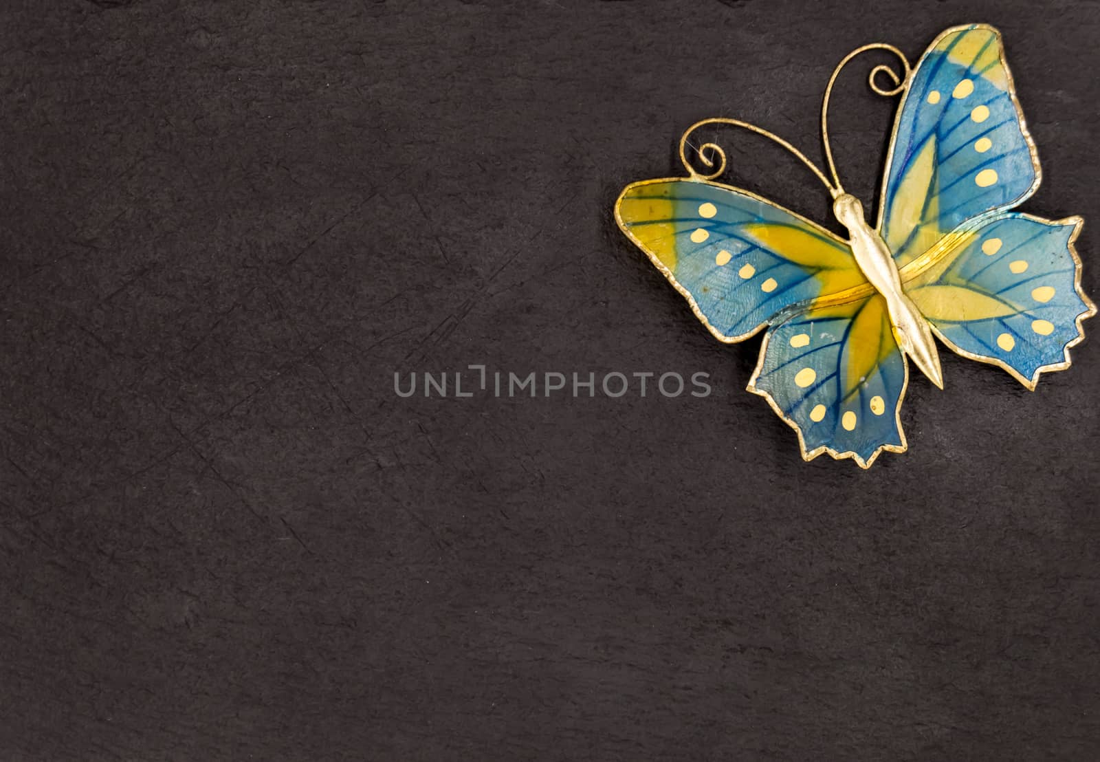 A butterfly on a black slate background place in the right corner