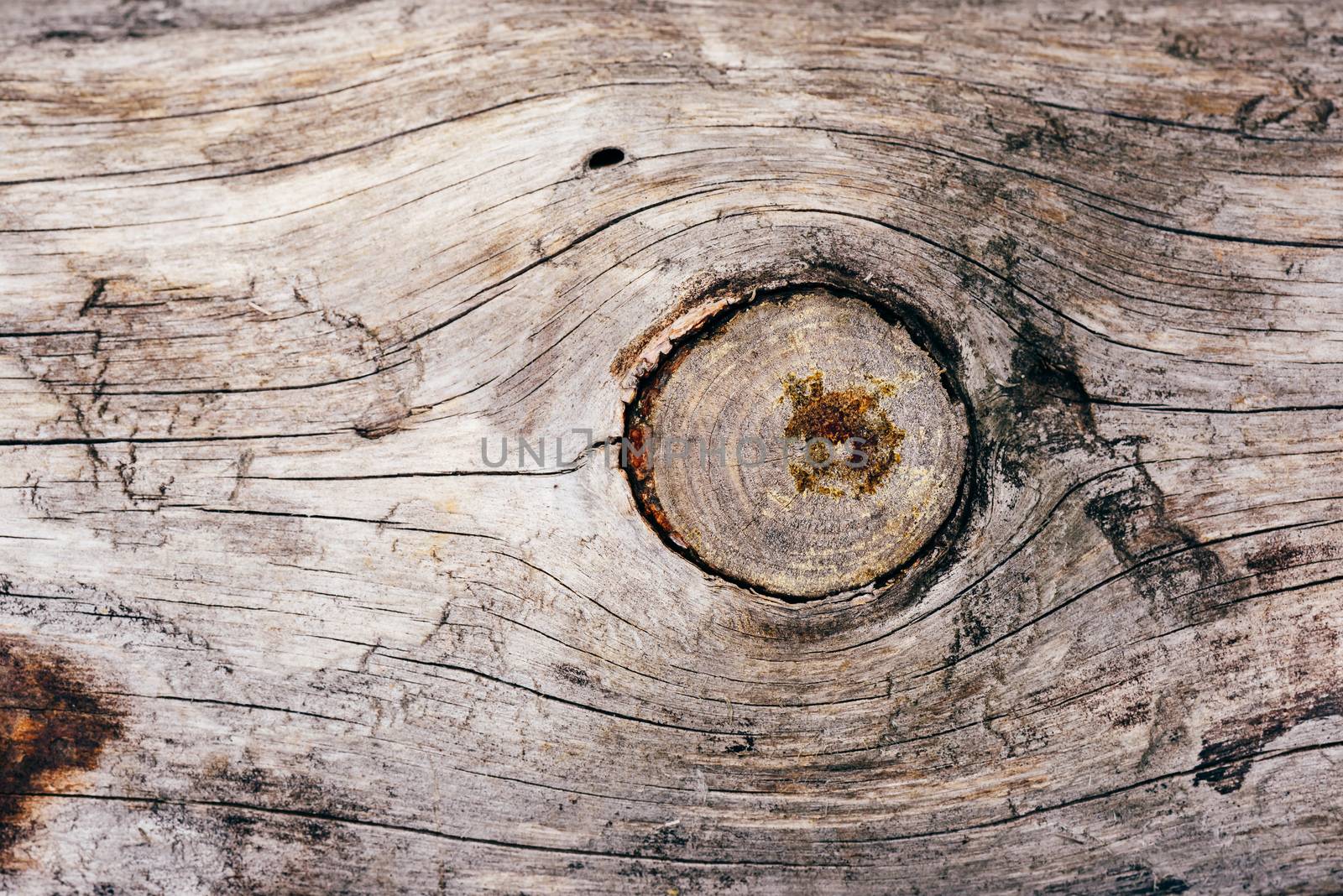 Aged wooden background by Seva_blsv