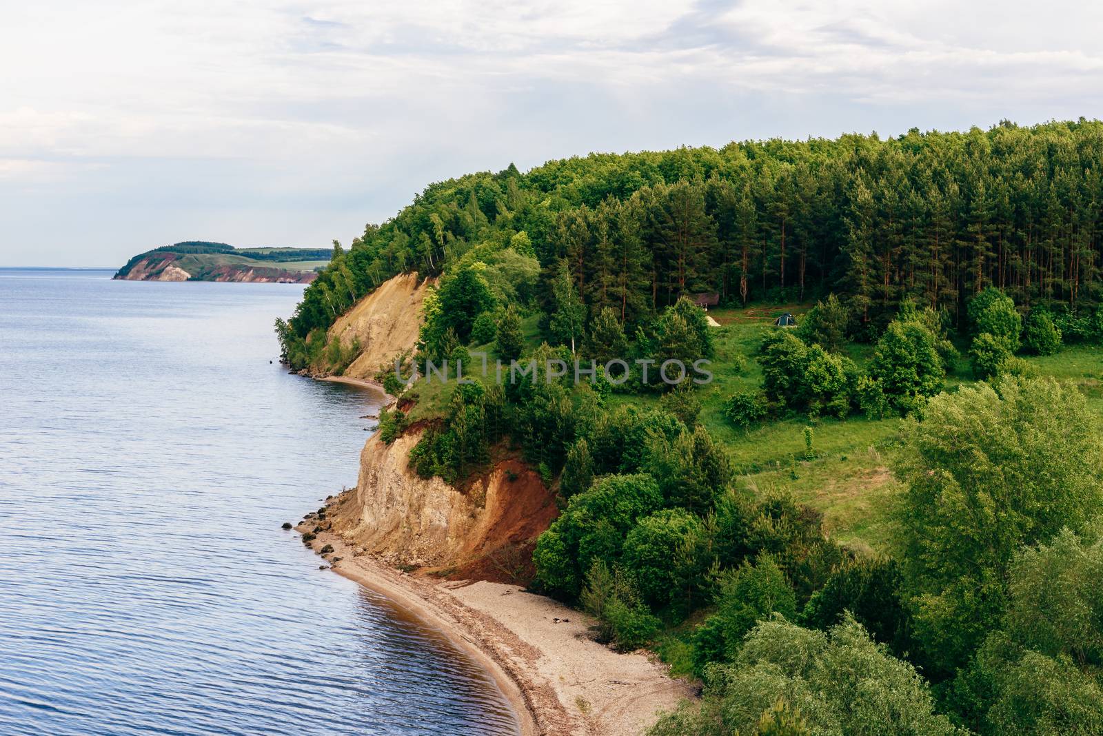 Camp on river bank in pine wood