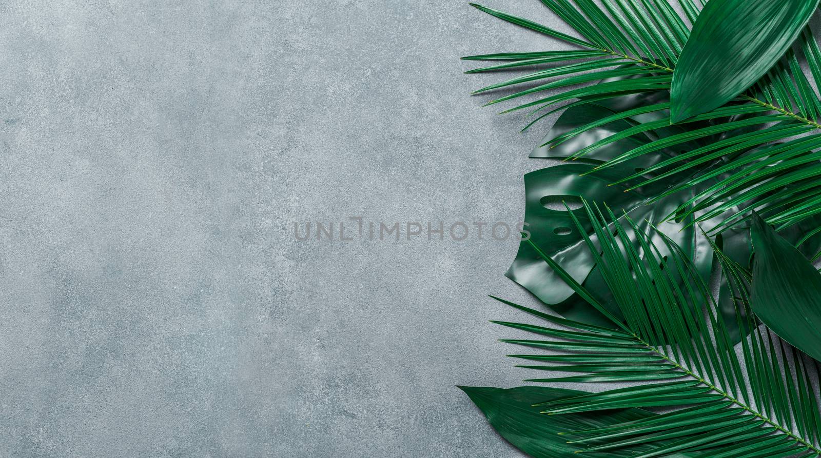 Palm leaves on gray stone background. Tropical leaves top view or flat lay. Copy space for text or design. Horizontal banner. Tropical palm leave, jungle leave floral pattern background