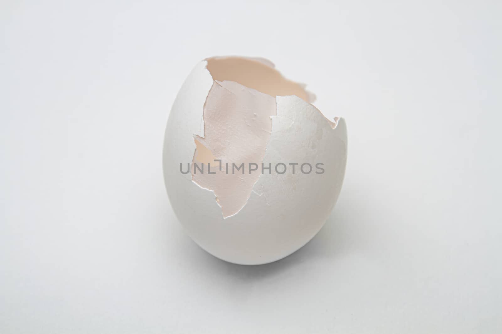cracked egg with part of the shell brolen showing the inner skin