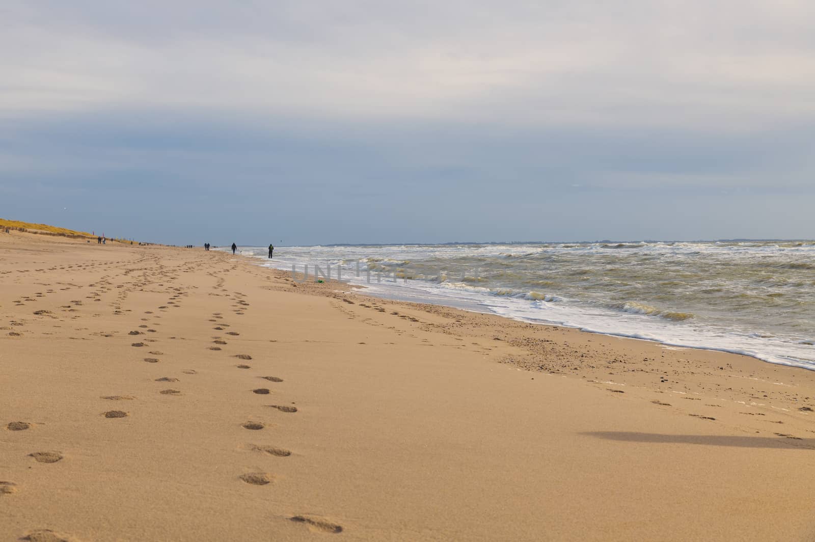 people walking at the beach at the northsea beach with hard wind and waves with dark clouds and sky