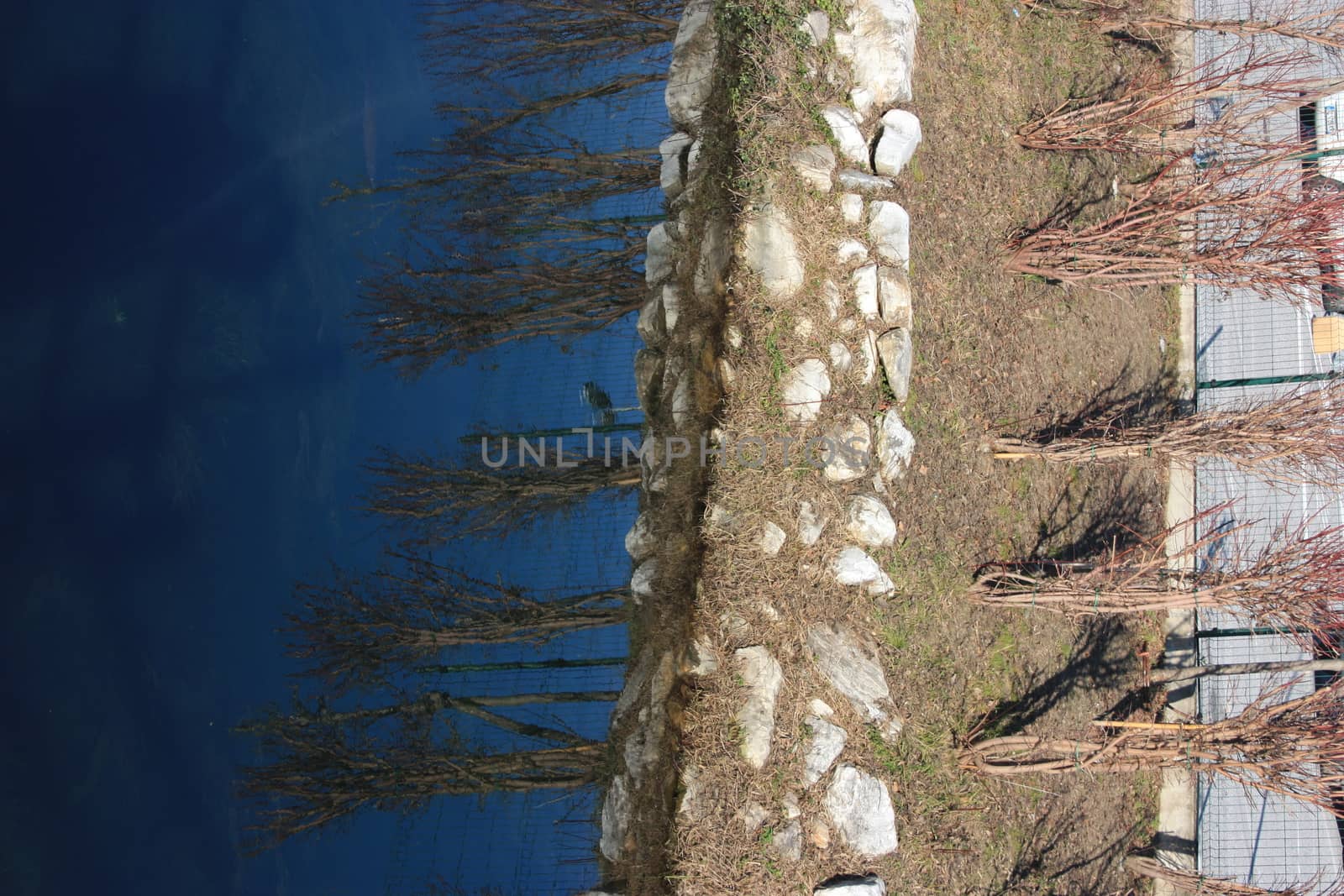 blue water of a pond or small river on the surface of which the reflection of the plants growing on the side is reflected by alessiapenny90