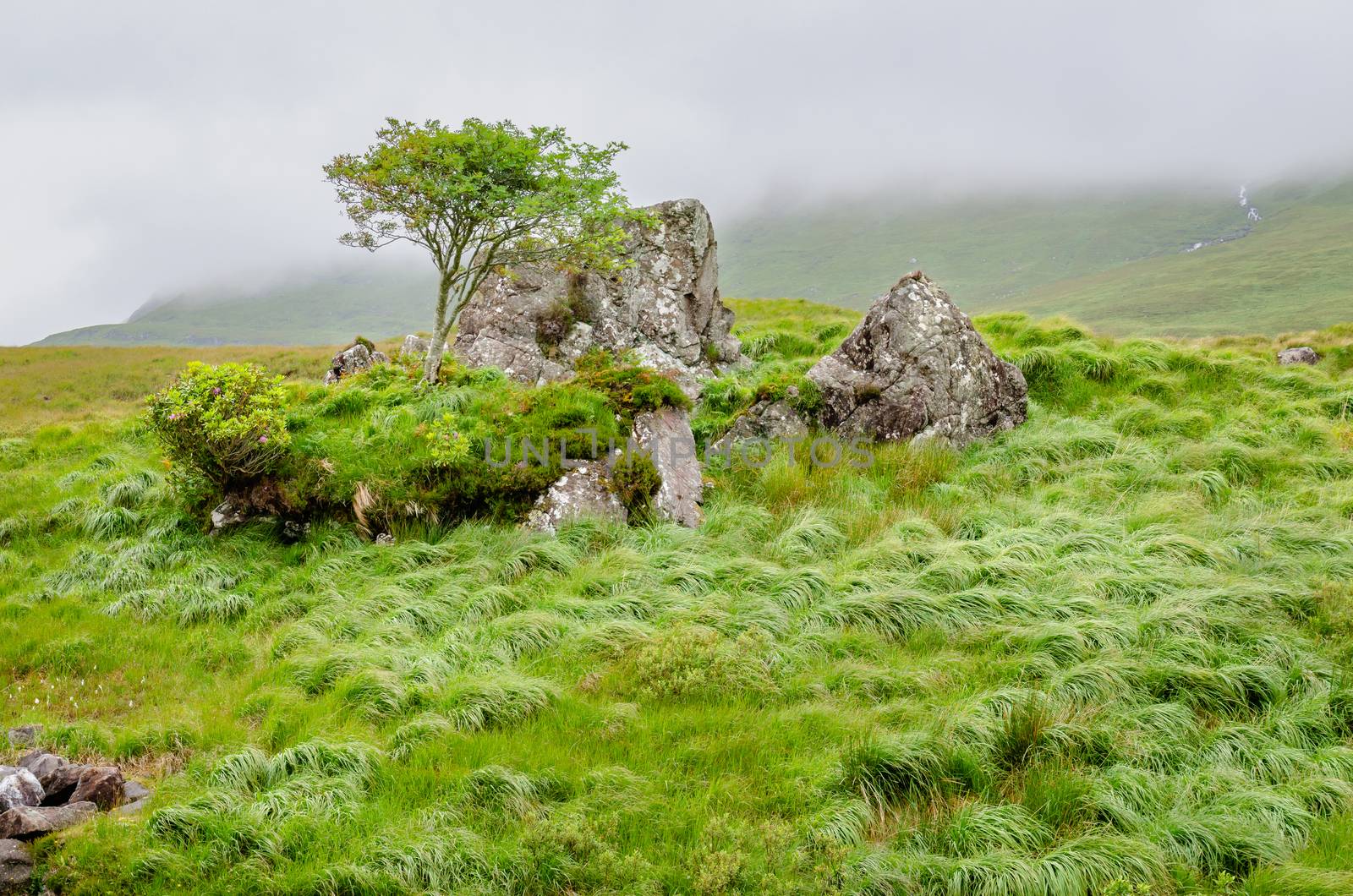 A scene from County Mayo, Ireland.