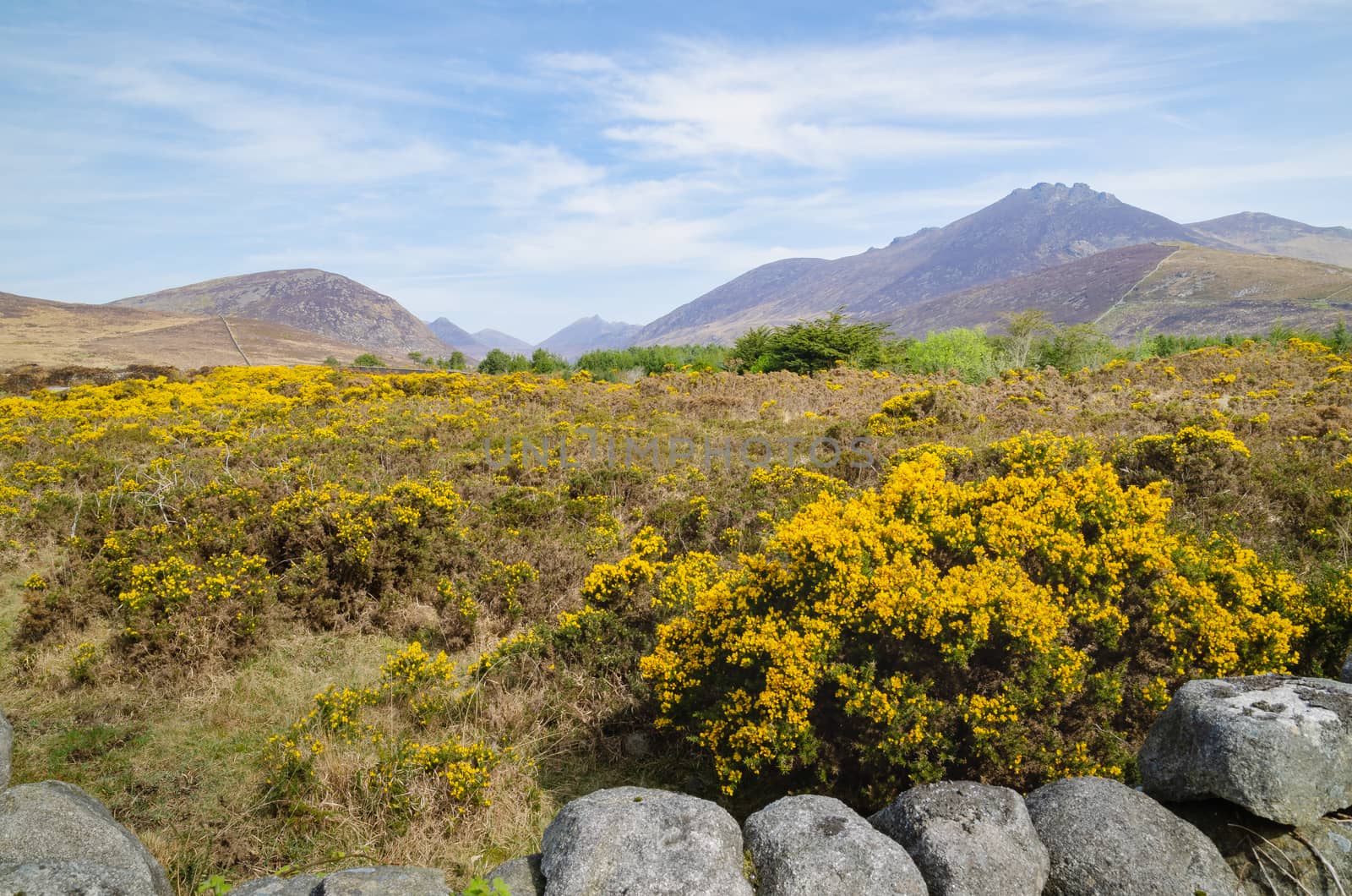 A landscape scene of the Mourne Mountains, also called the Mournes or Mountains of Mourne, County Down, Northern Ireland.