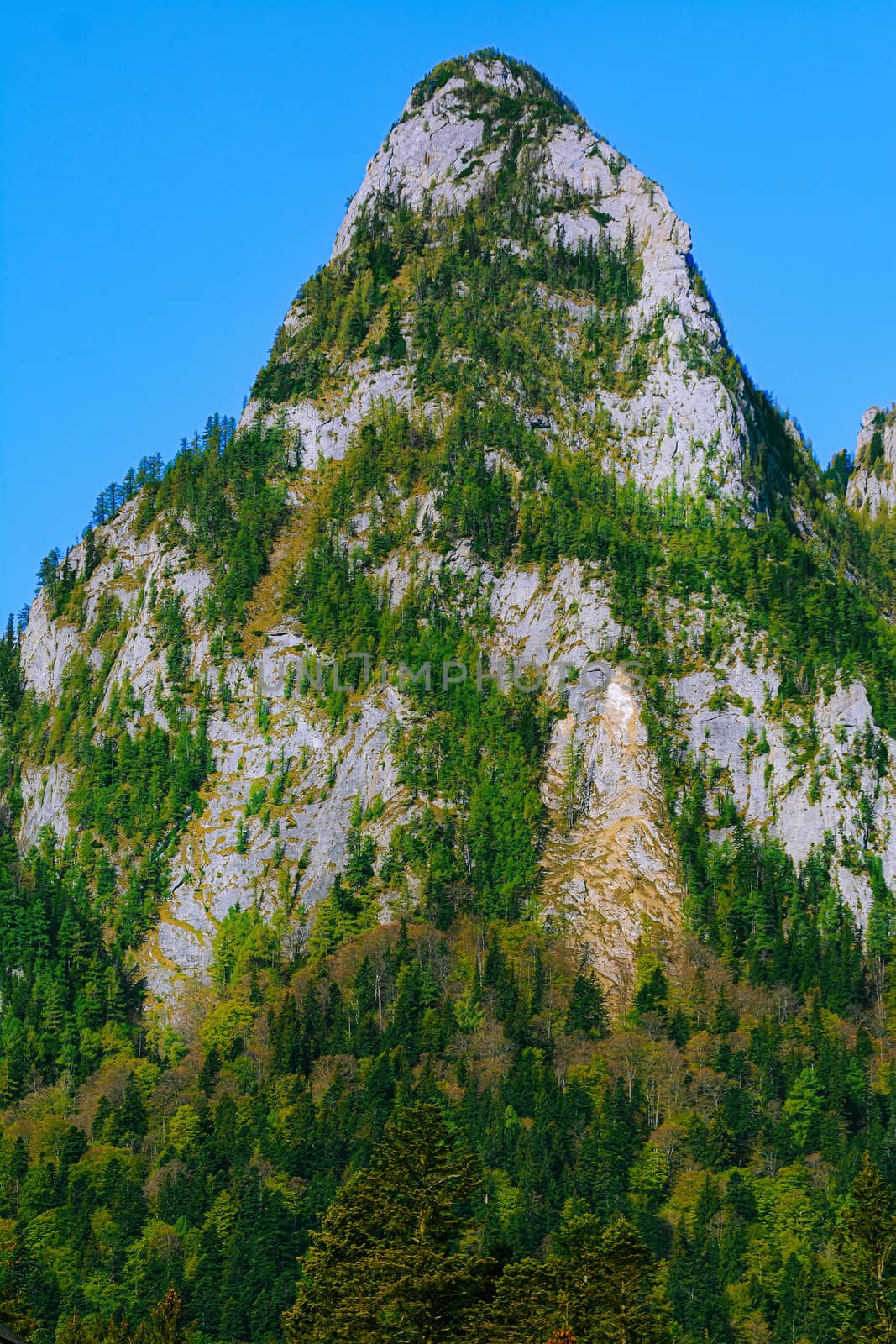 Caraiman Peak in the Bucegi Mountain, Romania