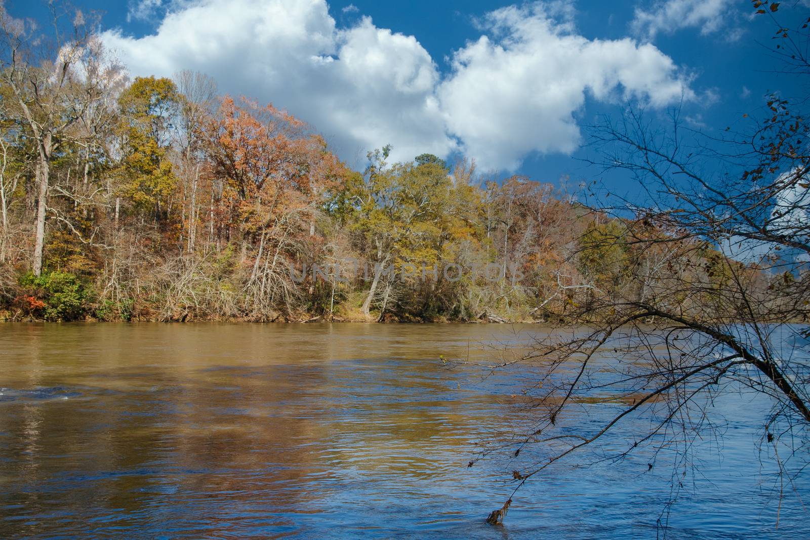 A wide, calm river in late autumn under clear blue skies