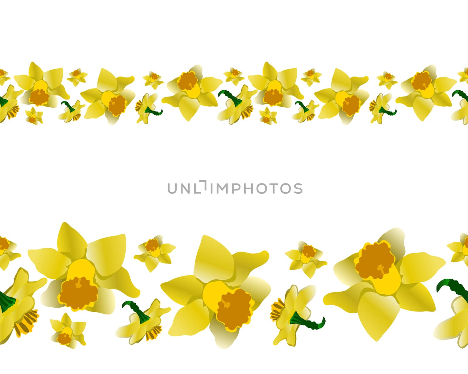 Spring yellow daffodils endless banner. Floral motif repeat border isolated on white background. Vector illustration.