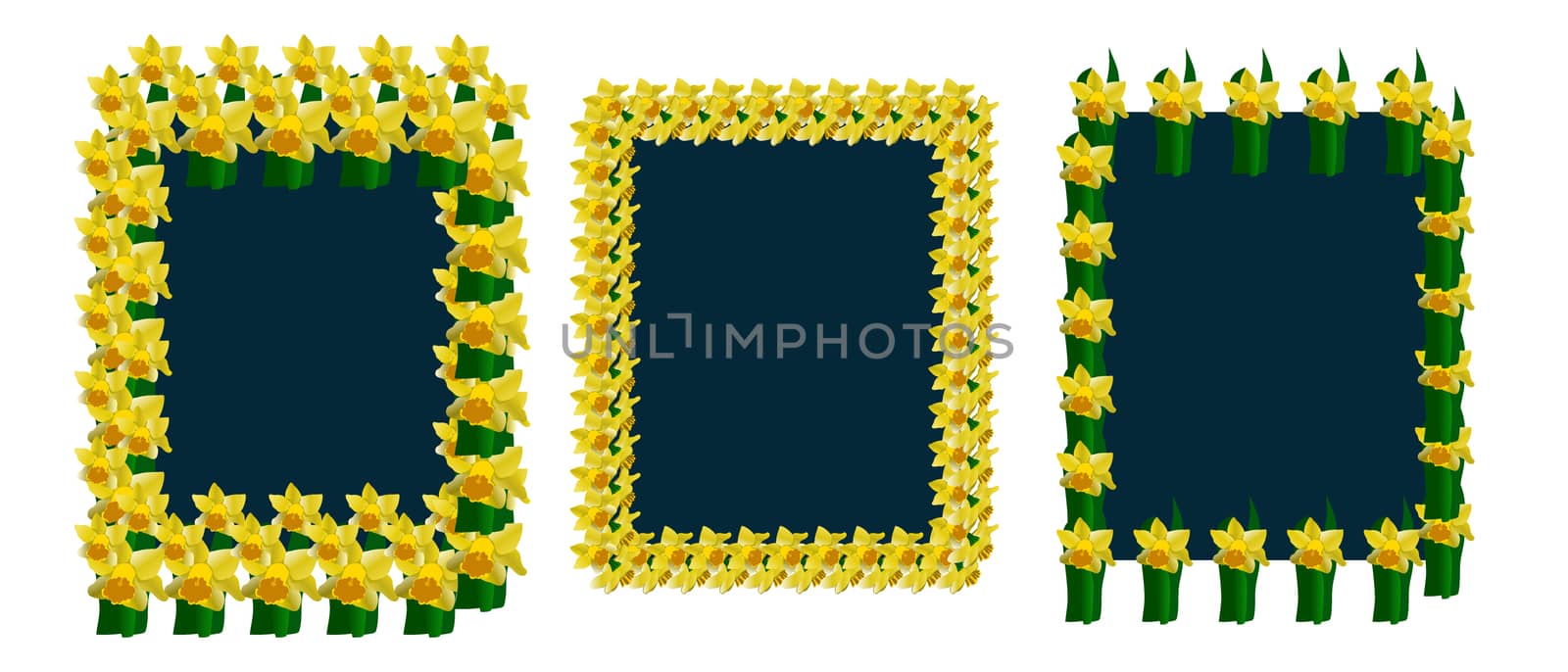 Collection of rectangular frames with daffodils, cards template. Vector illustration.