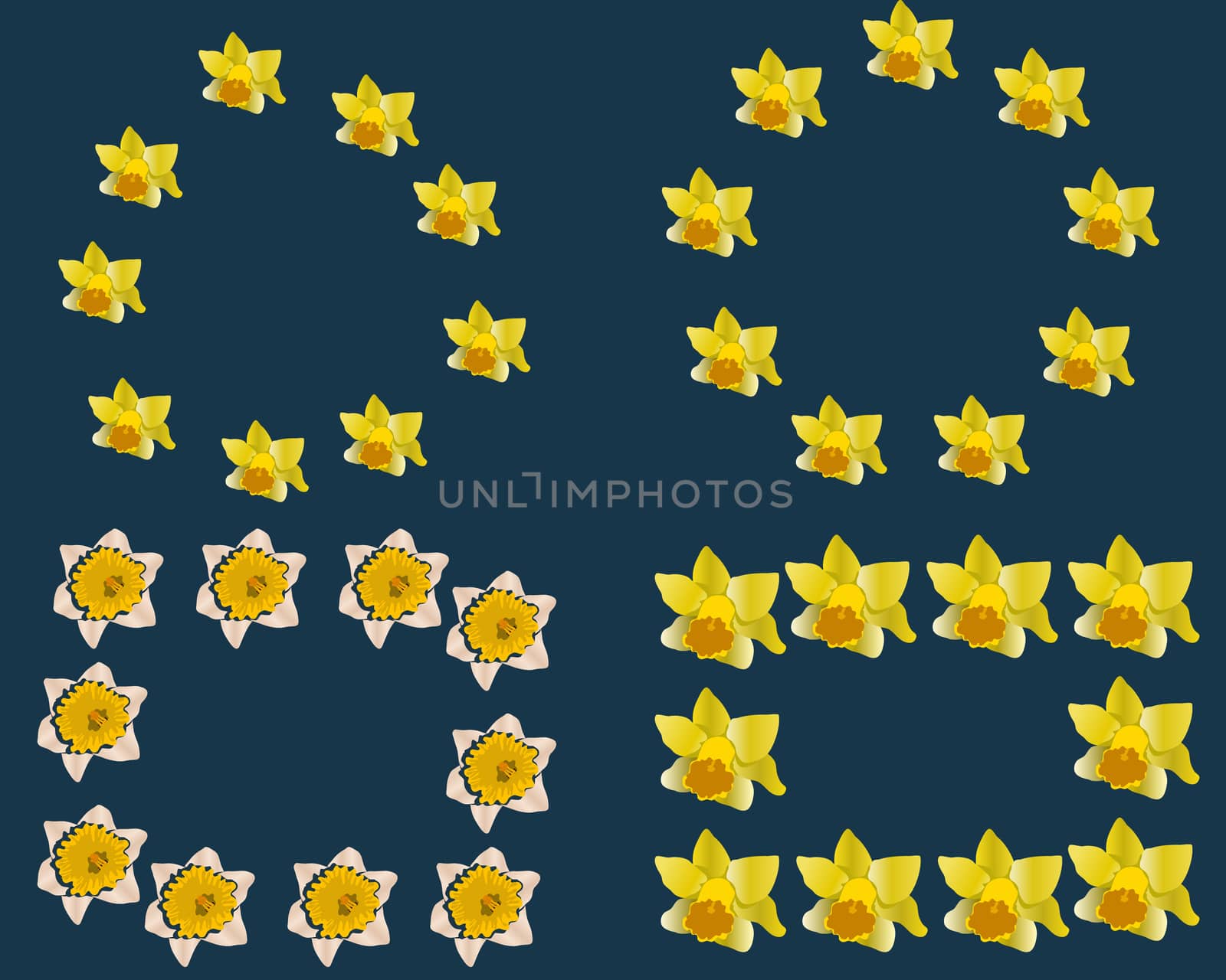 Floral motif banner. Spring frames template with daffodils isolated on blue background. Vector illustration.