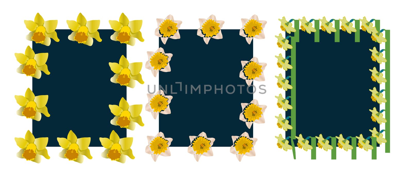 Set with spring floral frames on white background with daffodils. Vector illustration.
