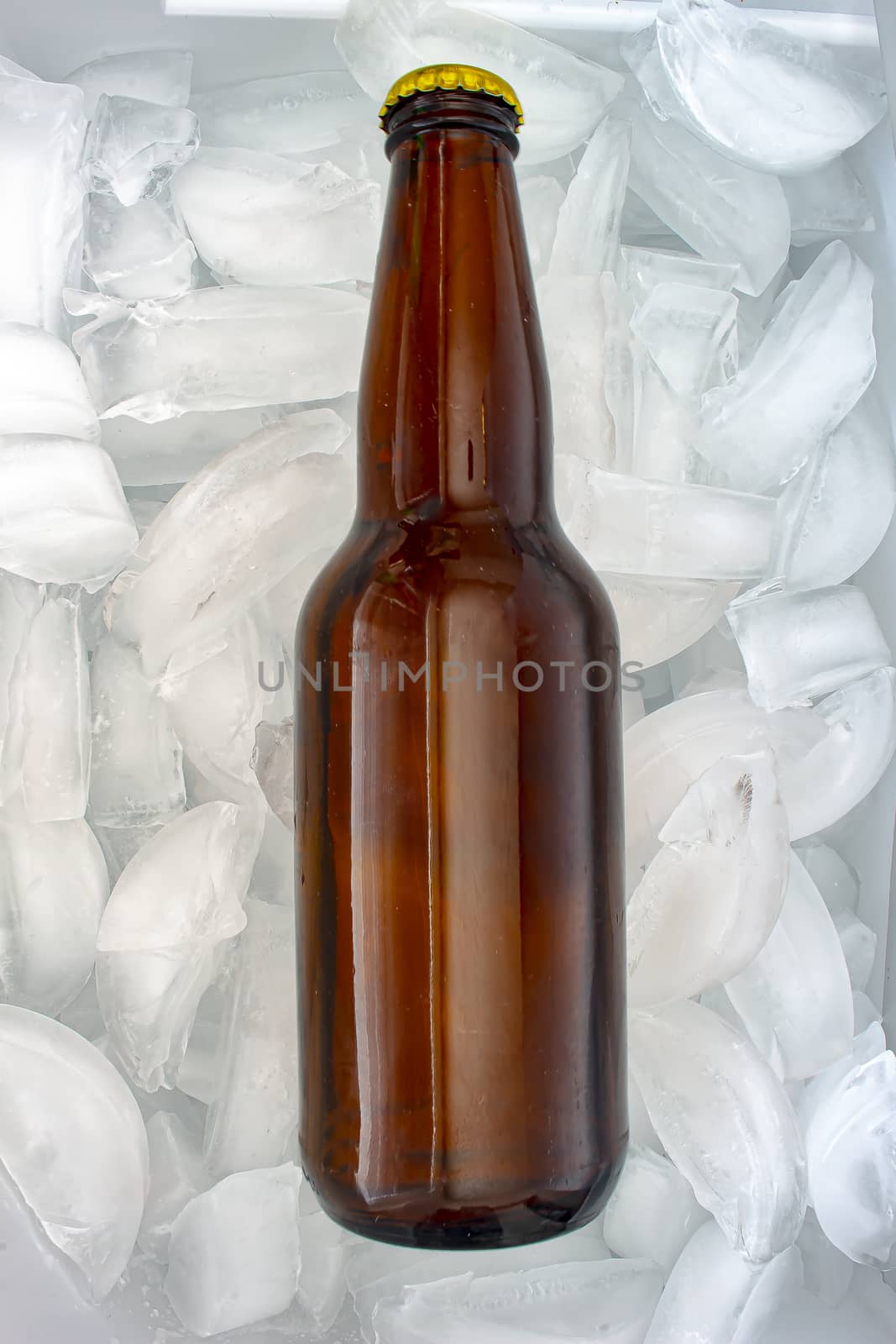 A generic brown beer bottle on ice
