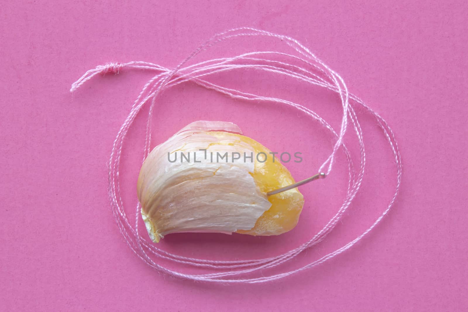 A single garlic with sewing needle and a pink Spool Of Pink Sewing Thread With Needle and pink background on the center.